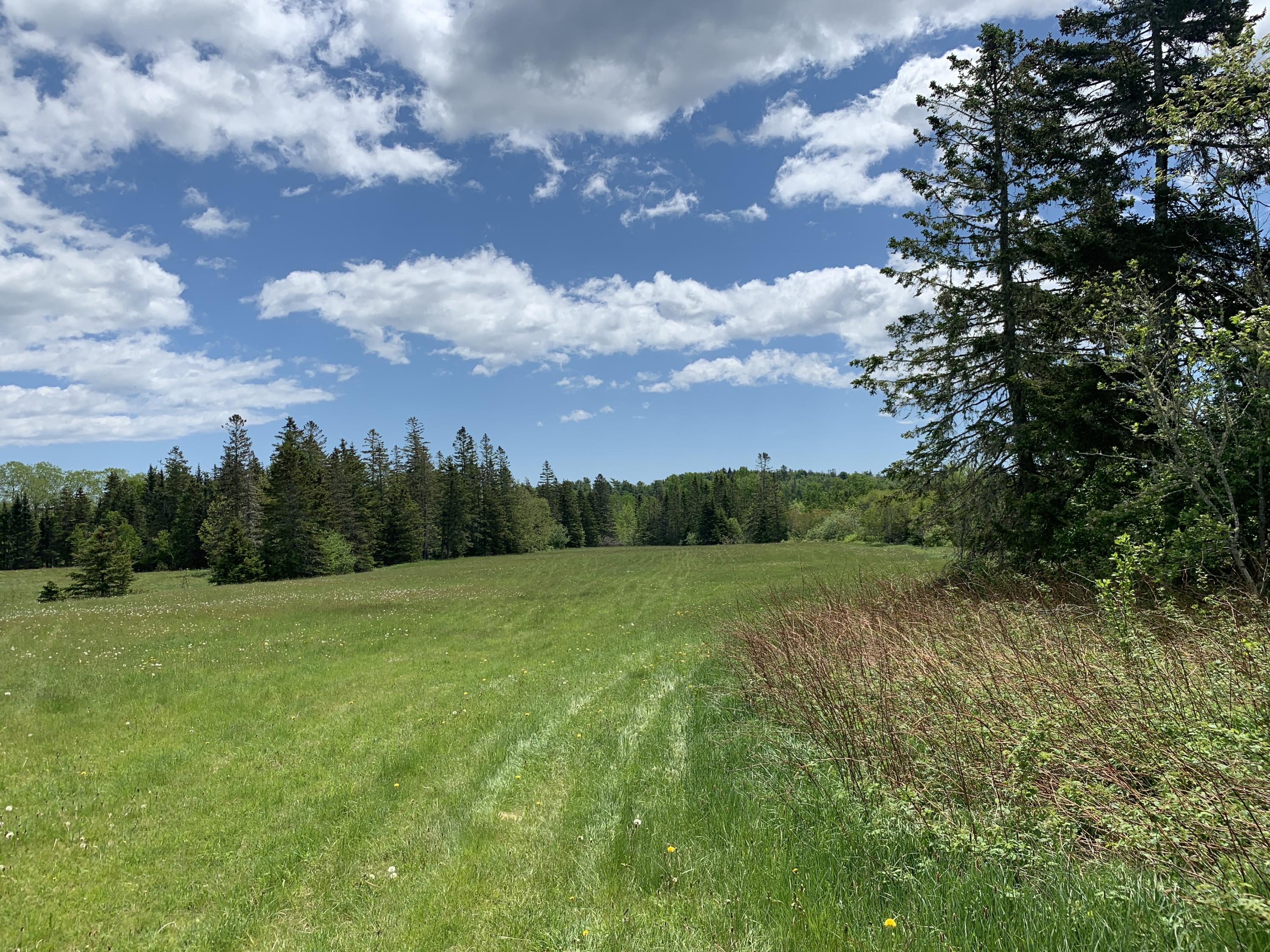 1 Daggett Road, Perry, ME, 04667