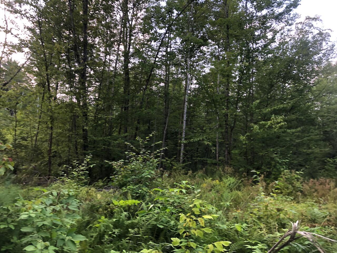 06 Swett Brook Lane, Weld, ME, 04285