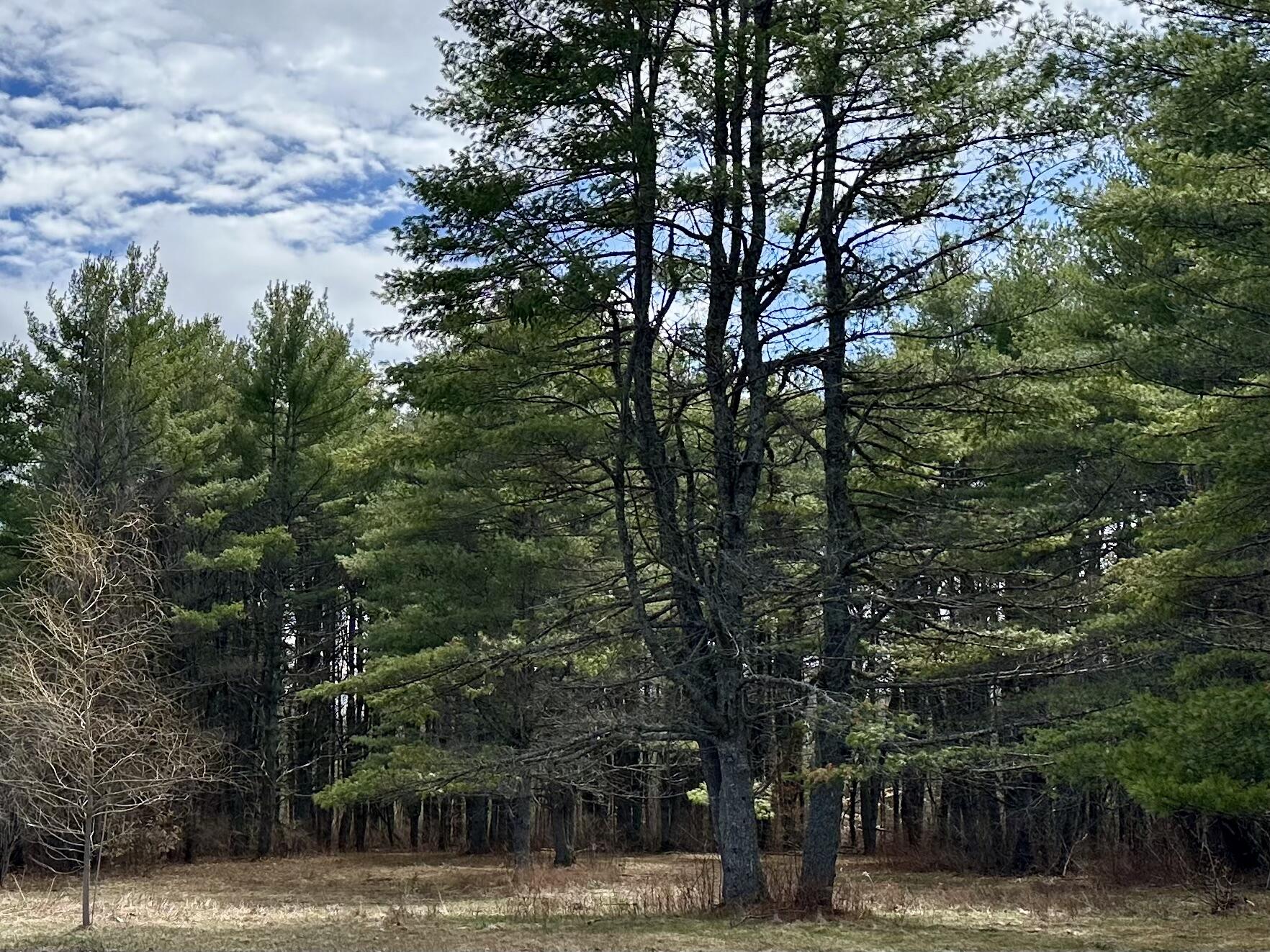 TBD S Belfast Avenue, Augusta, ME, 04330