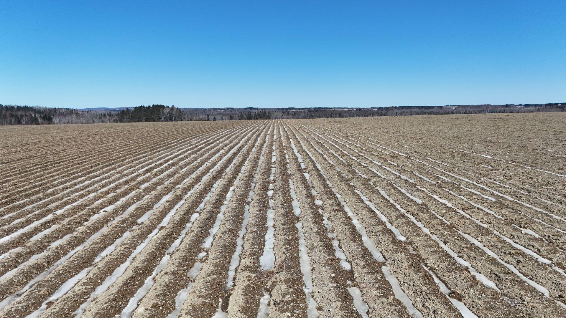 0 Washburn Road UNIT Lot 5, Caribou, ME, 04736