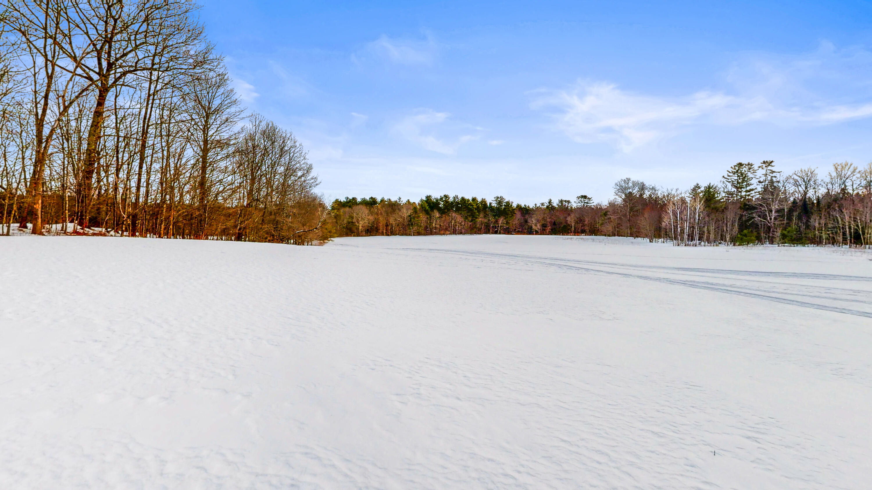 Search Homes for Sale