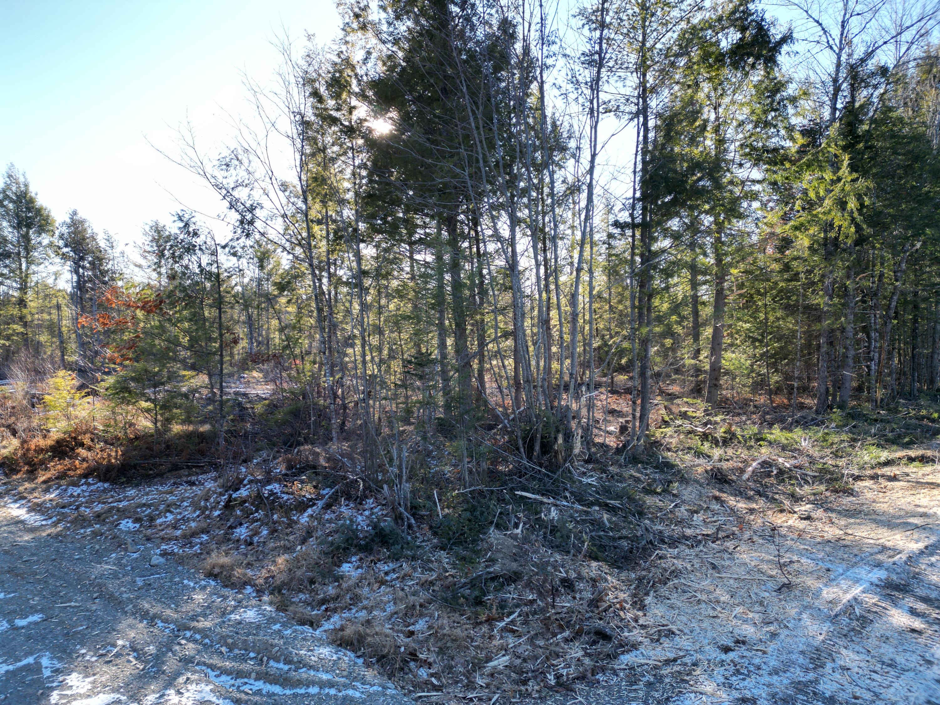 Lot 1 Mattamiscontis Road, Howland, ME, 04448