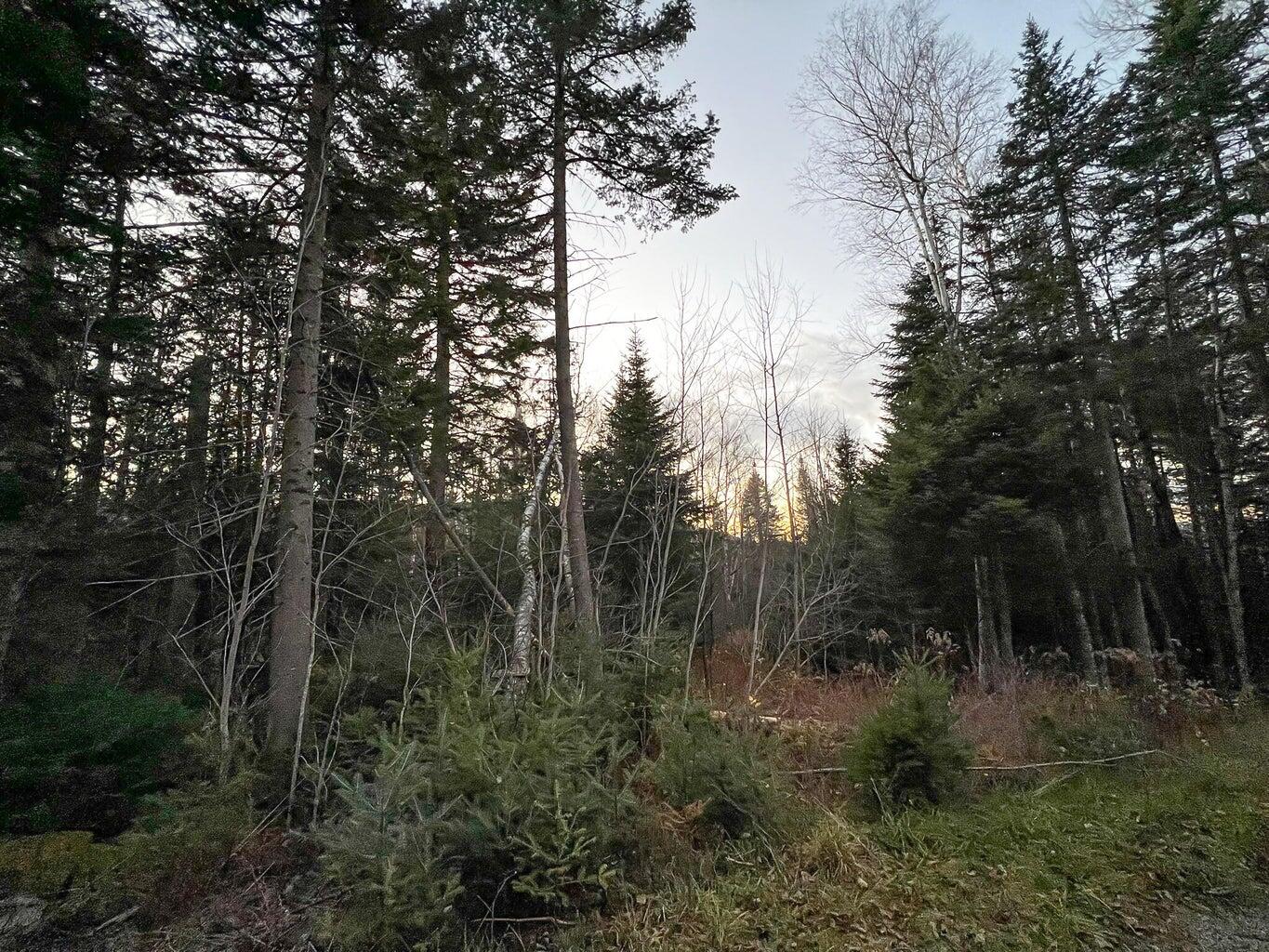 Lot 16 Mill Brook Road, Sandy River Plt, ME, 04970