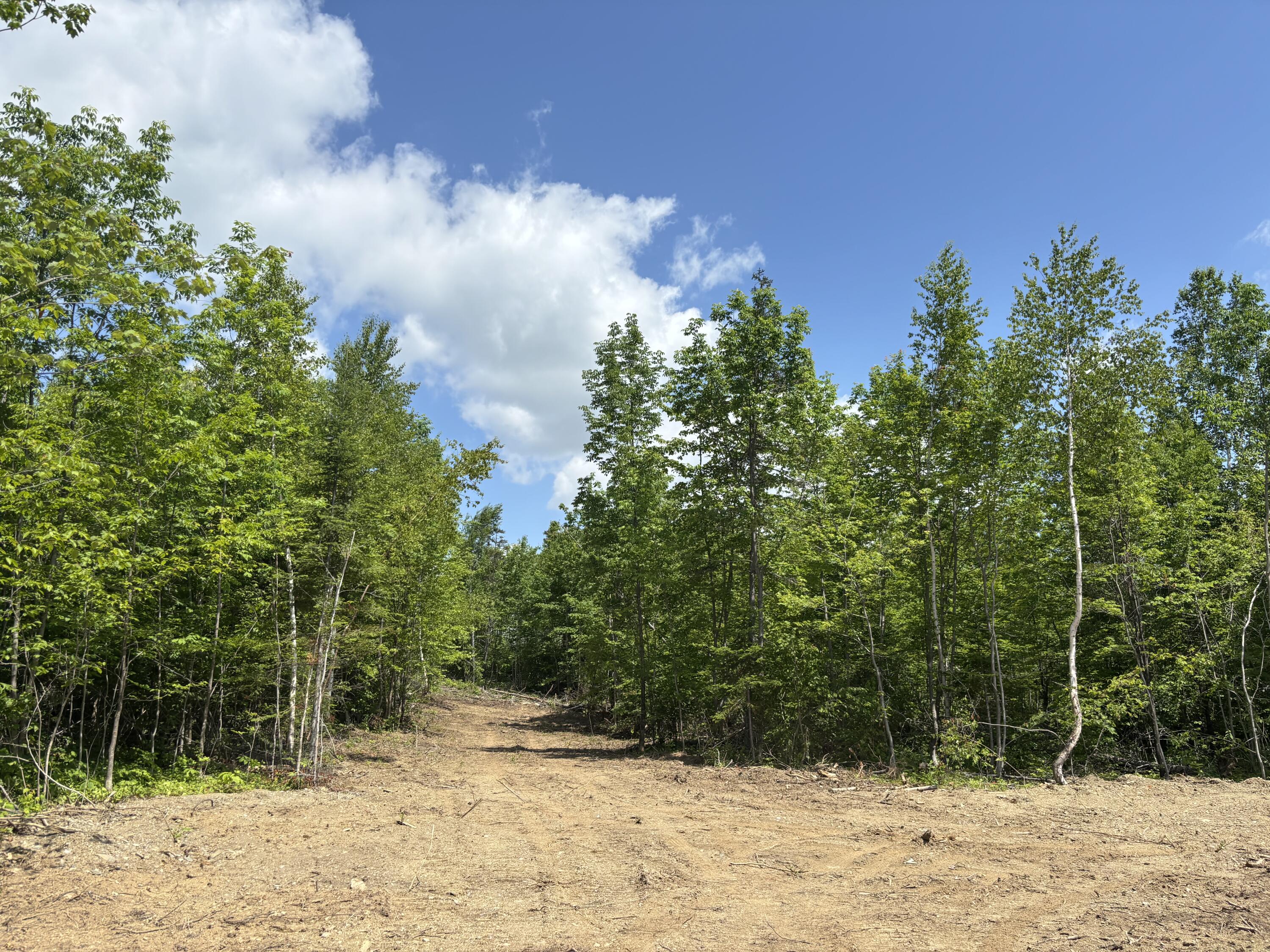 Lot A McDonald Road, Littleton, ME, 04730