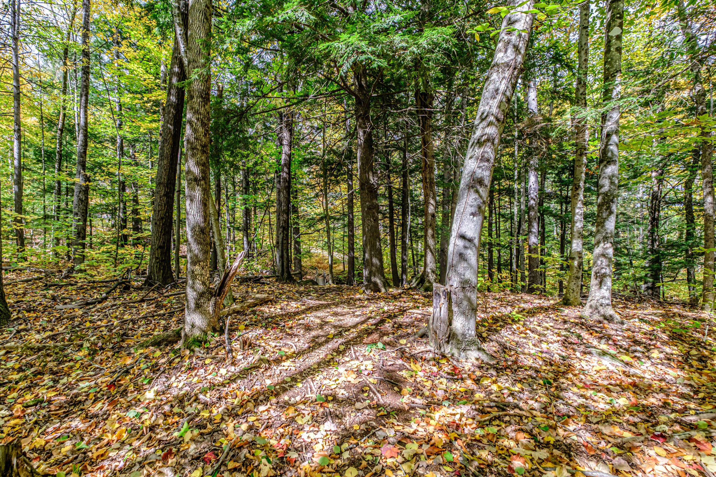 45 Viking Village Road, Newry, ME, 04261-3247