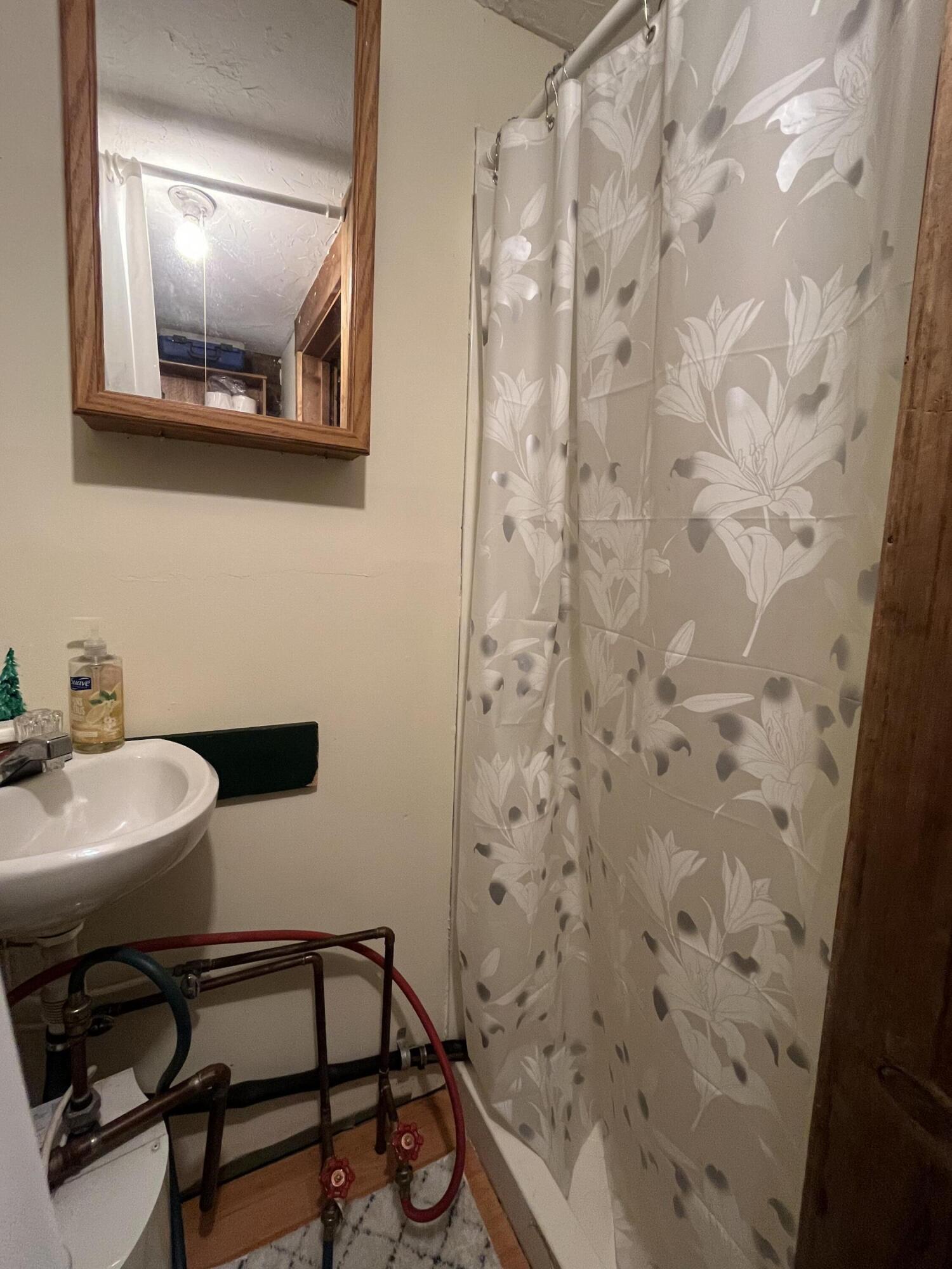 bath with shower