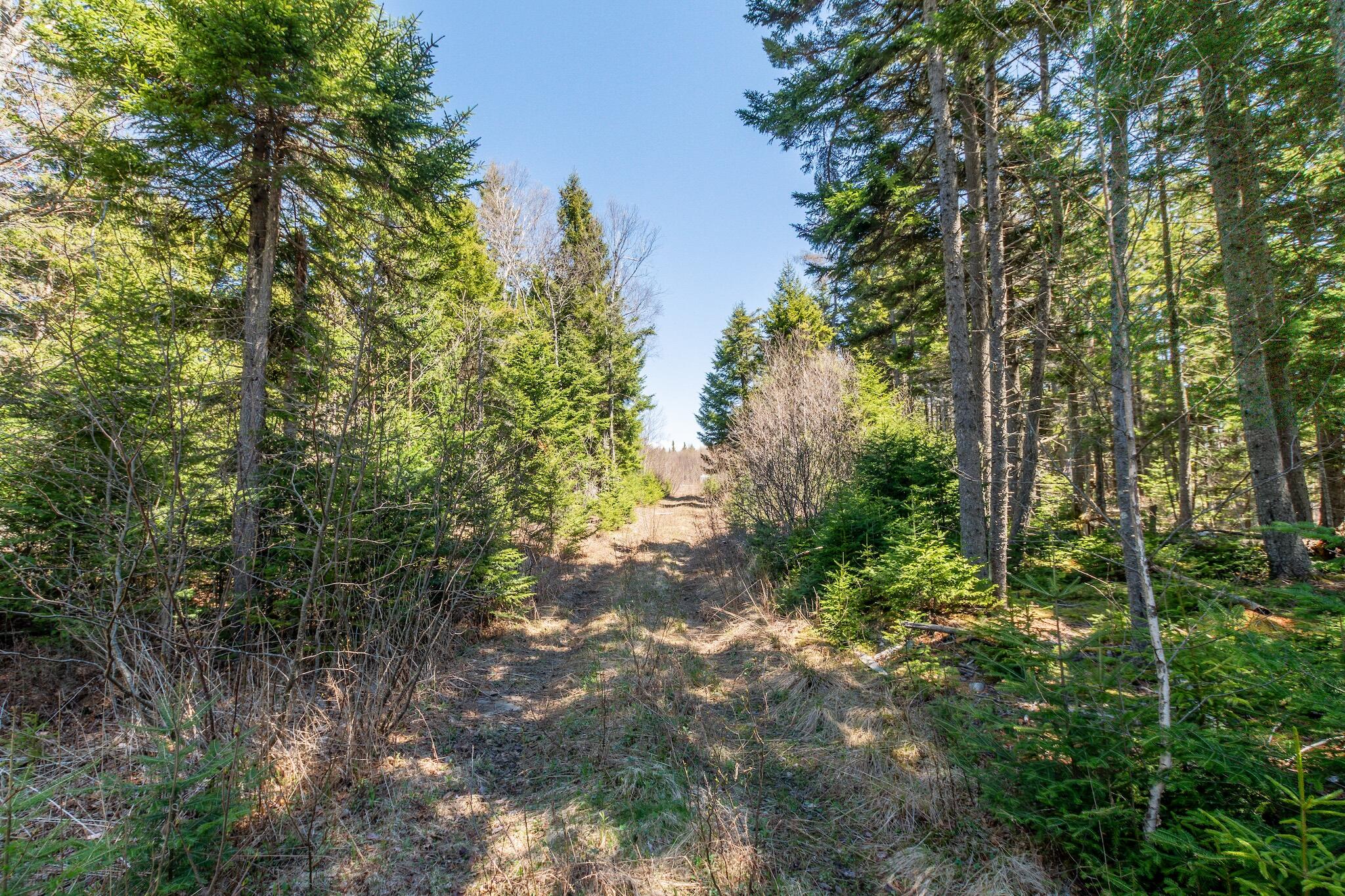 67 Otisfield Cove Road, Otisfield, ME, 04270