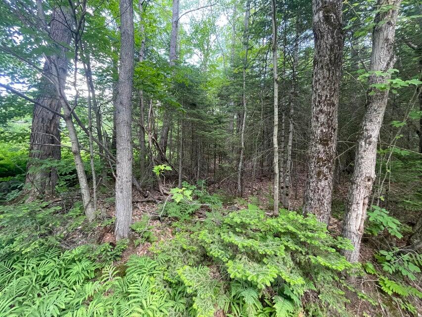 80 Gammon Road, Peru, ME, 04290