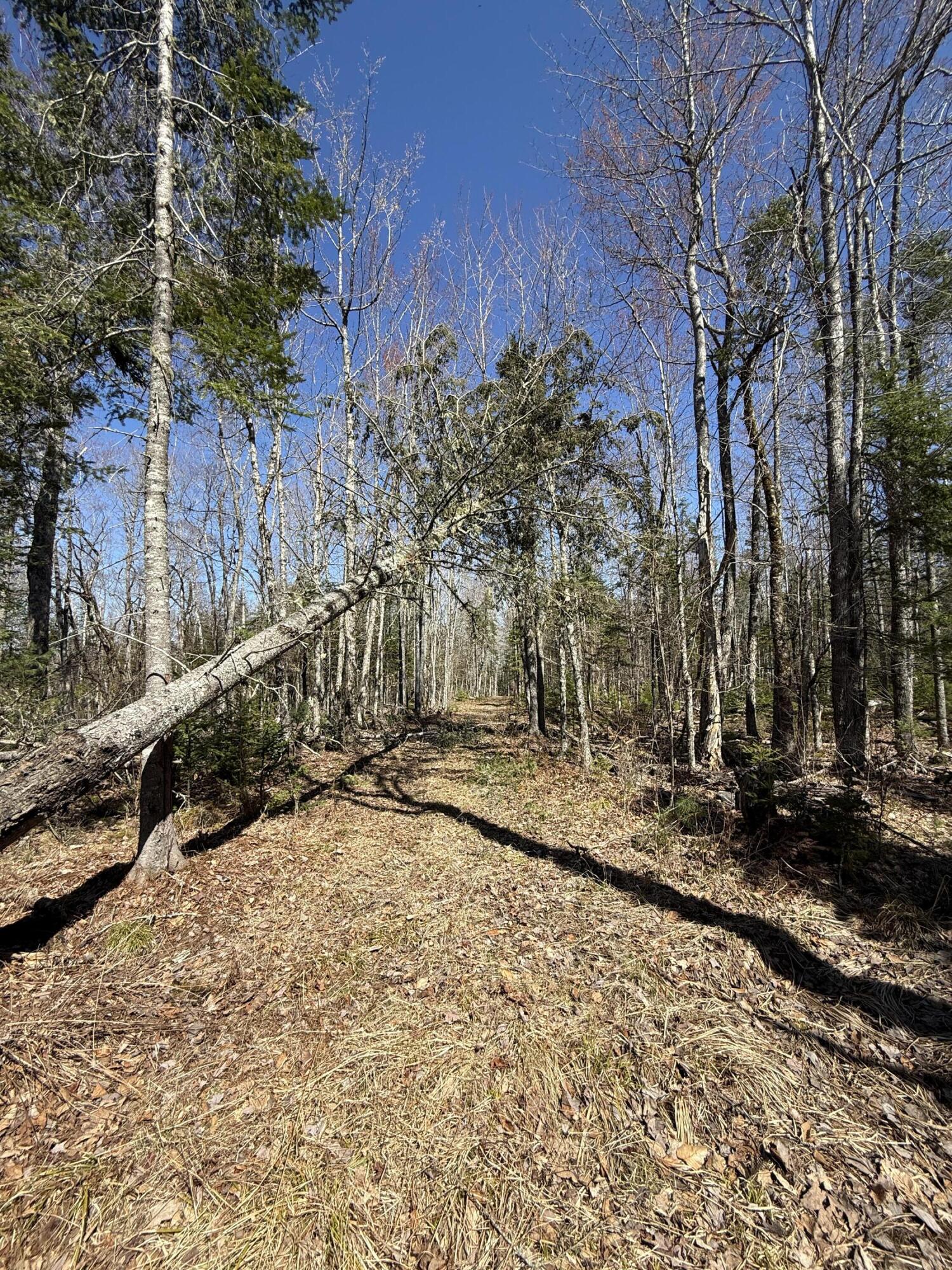 Lot 016-01 142 Old Fisher Rd Road, Holden, ME, 04429