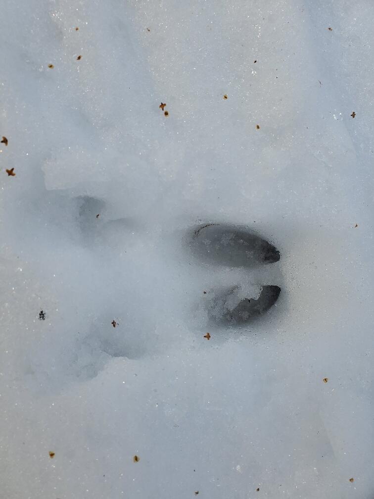 999 Main Road, Eddington, ME, 04428