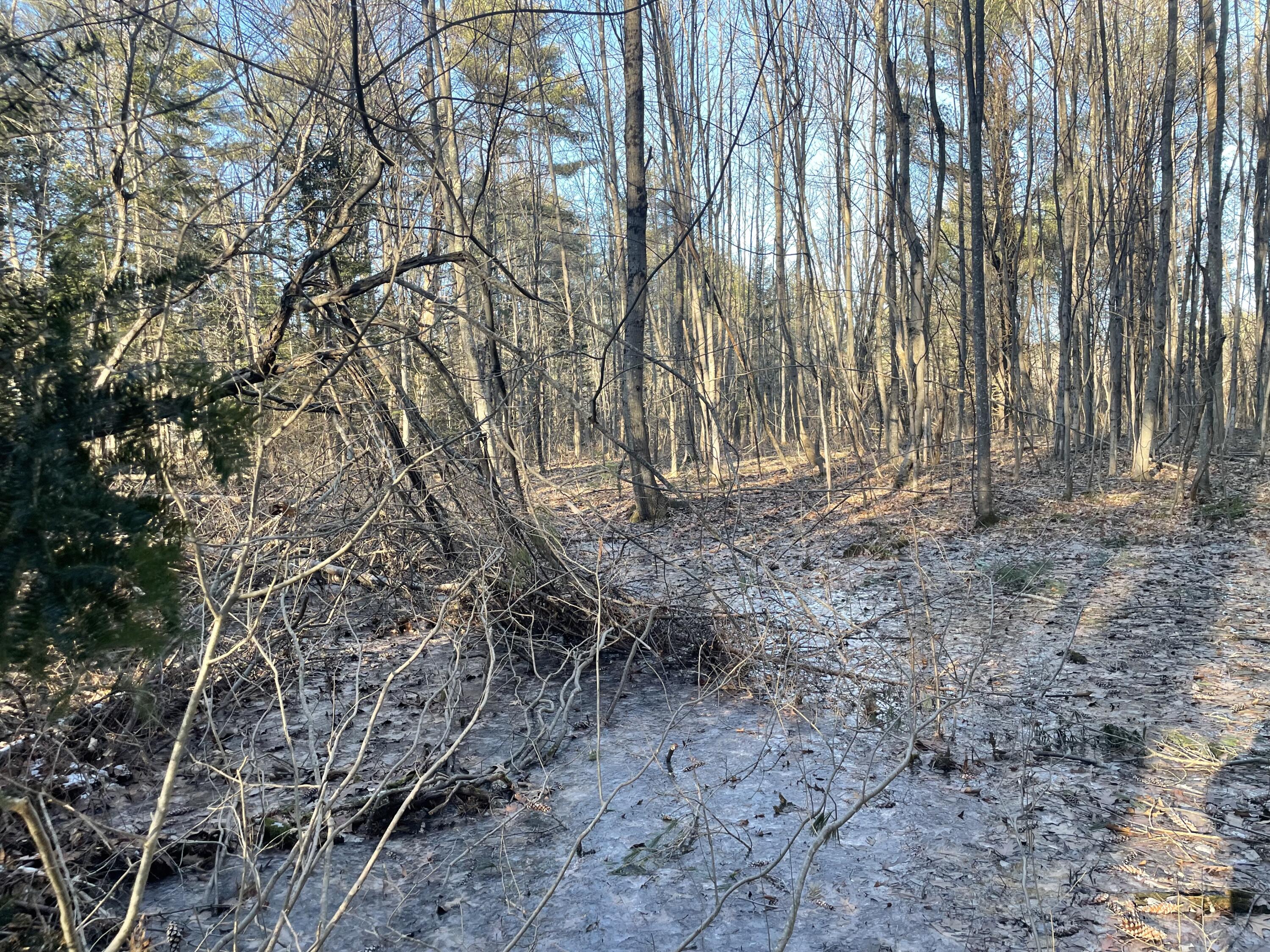 0 Cross Street, Manchester, ME, 04351