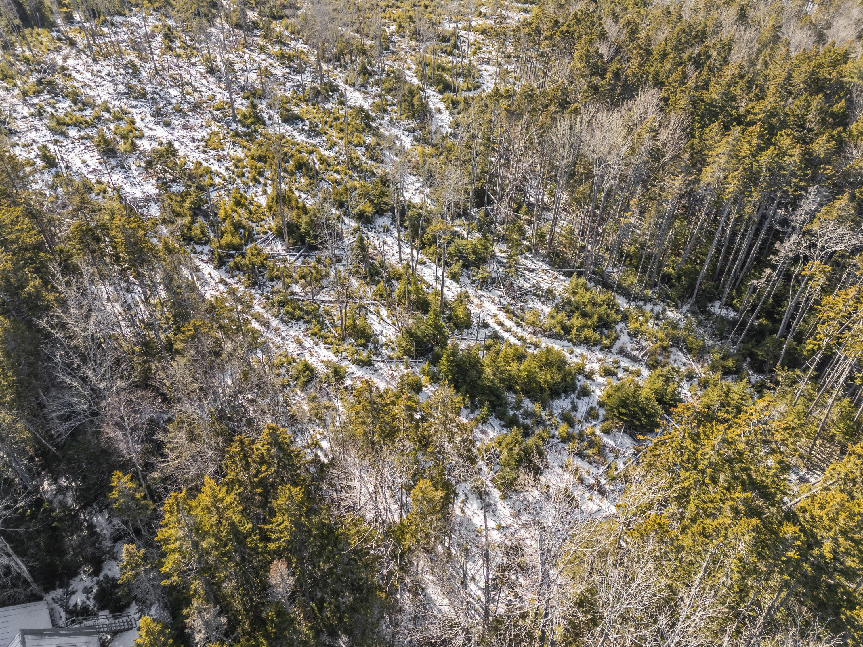 Lot 54B Harrington Cove Road, Saint George, ME, 04859