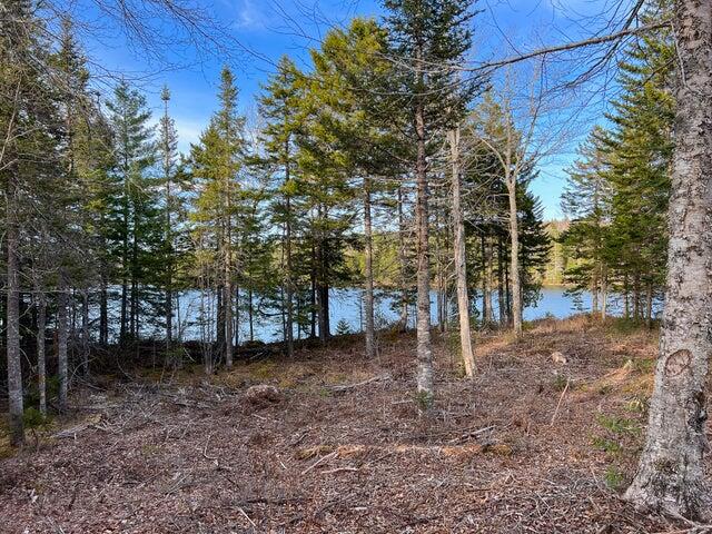 3 Steam Mill Road, Robbinston, ME, 04671