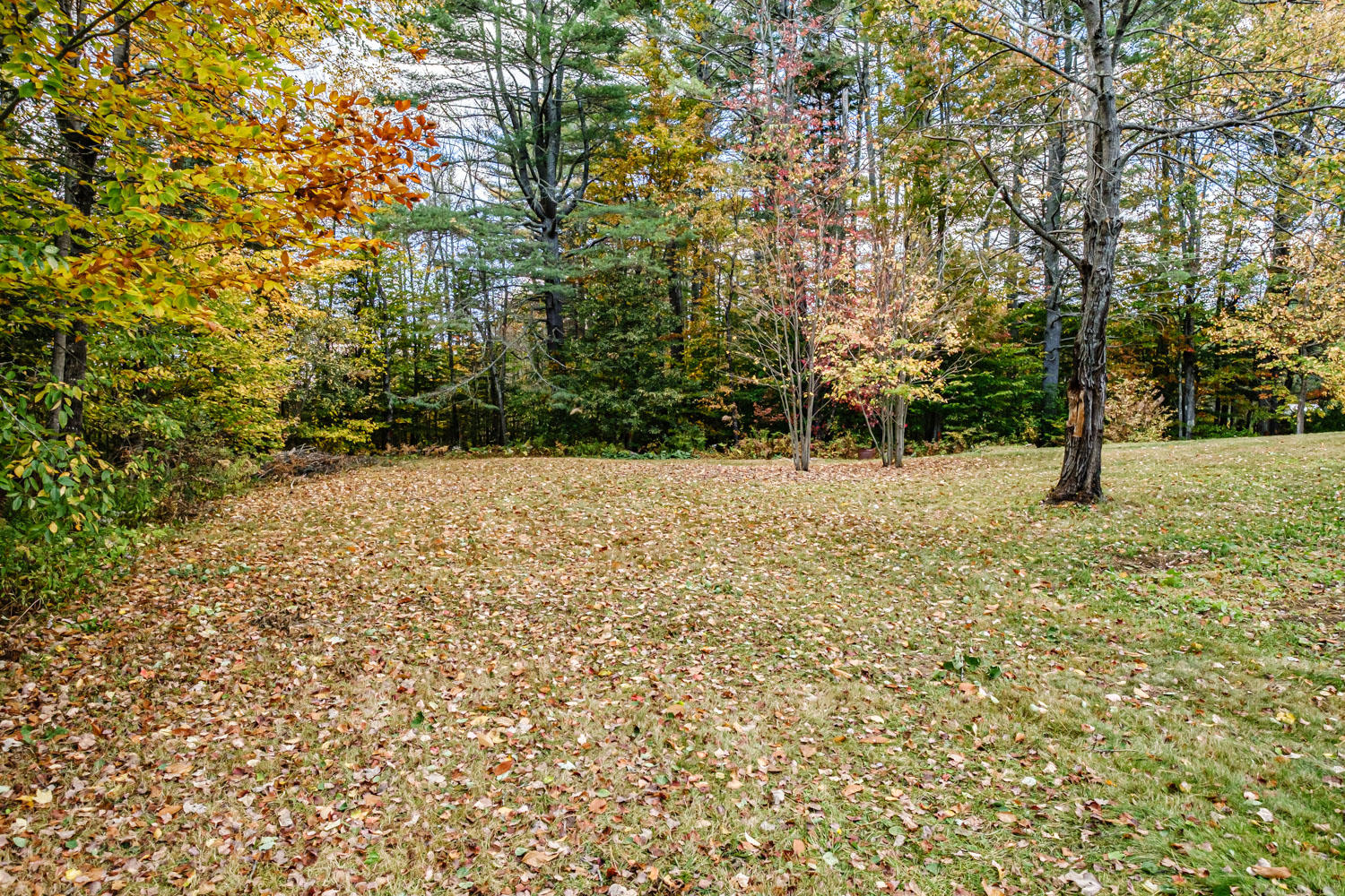 51 Howe Hill Road, Greenwood, ME, 04255-3021