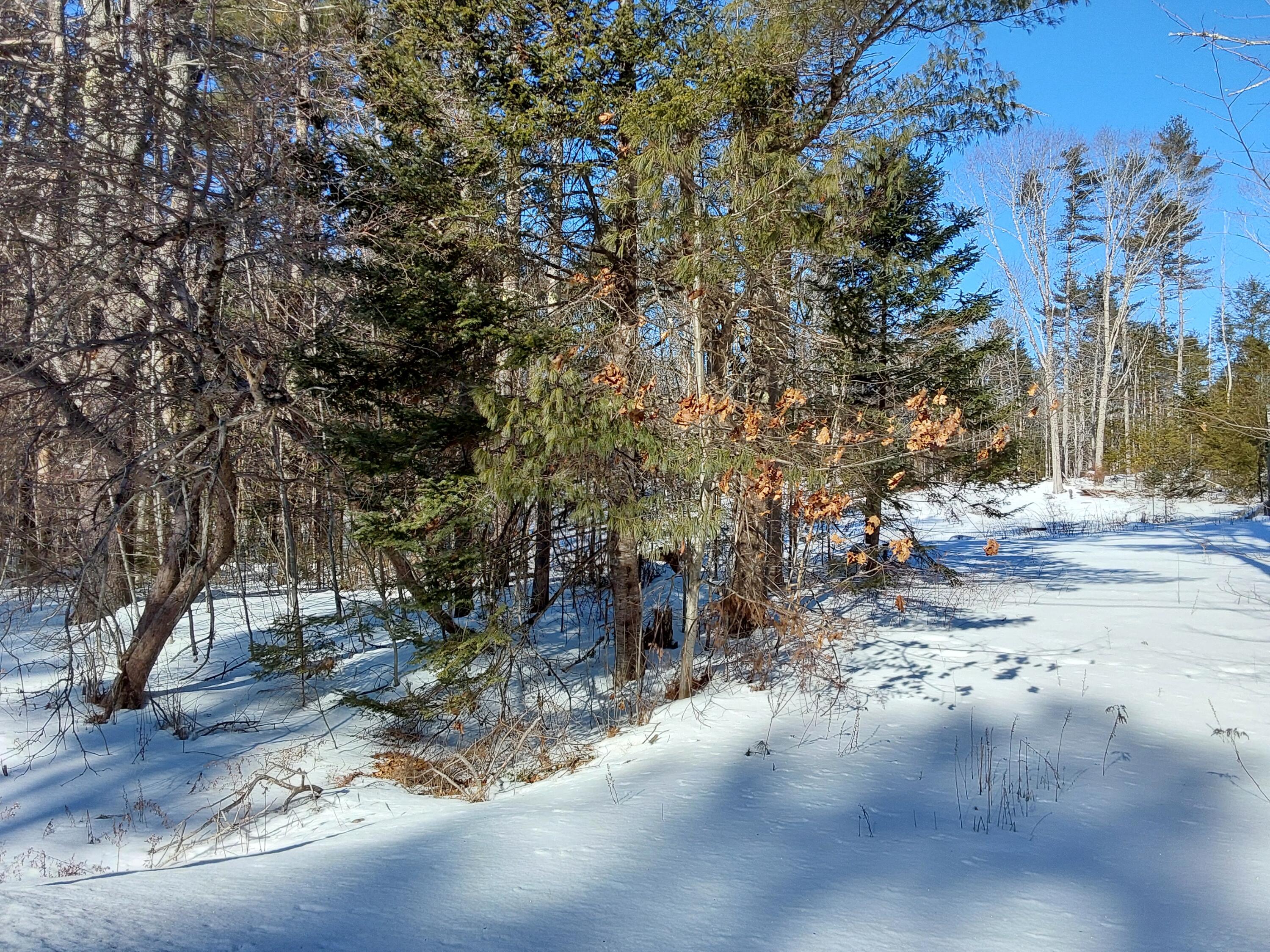 111 Rockland Road, Jefferson, ME, 04348