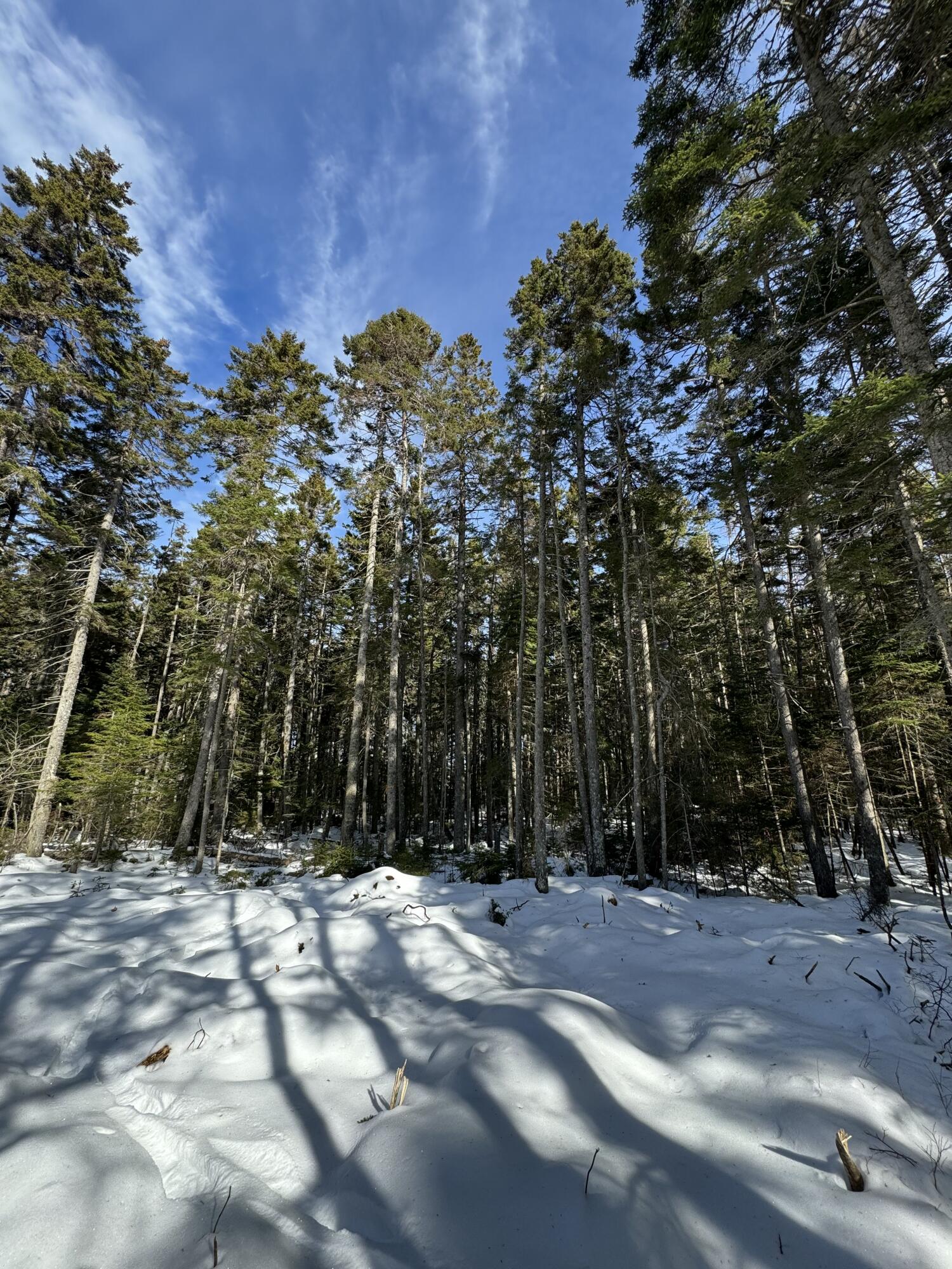 12 Jamestown Road, Vinalhaven, ME, 04863