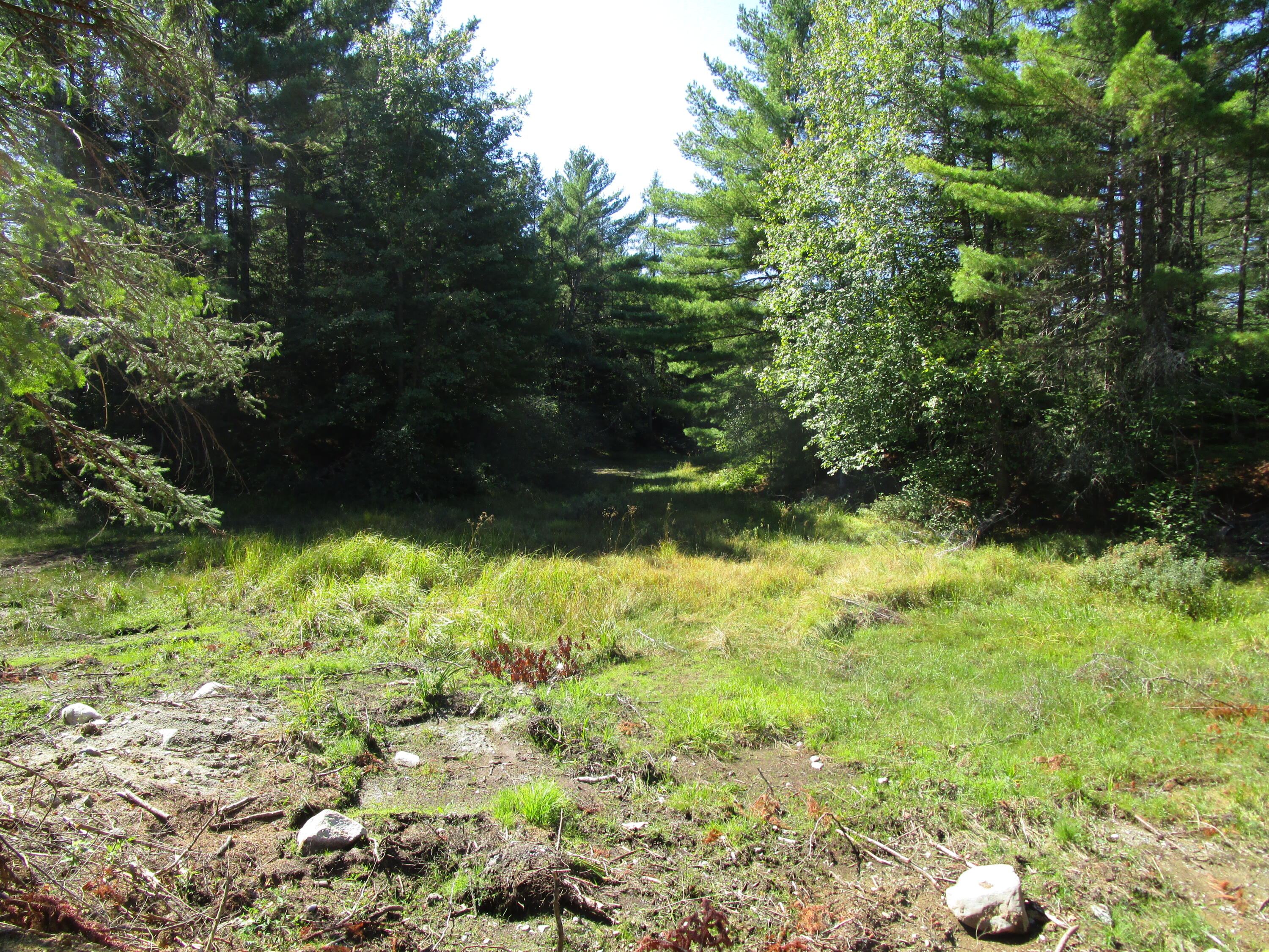 lot 8A N North Howland Road, Maxfield, ME, 04448