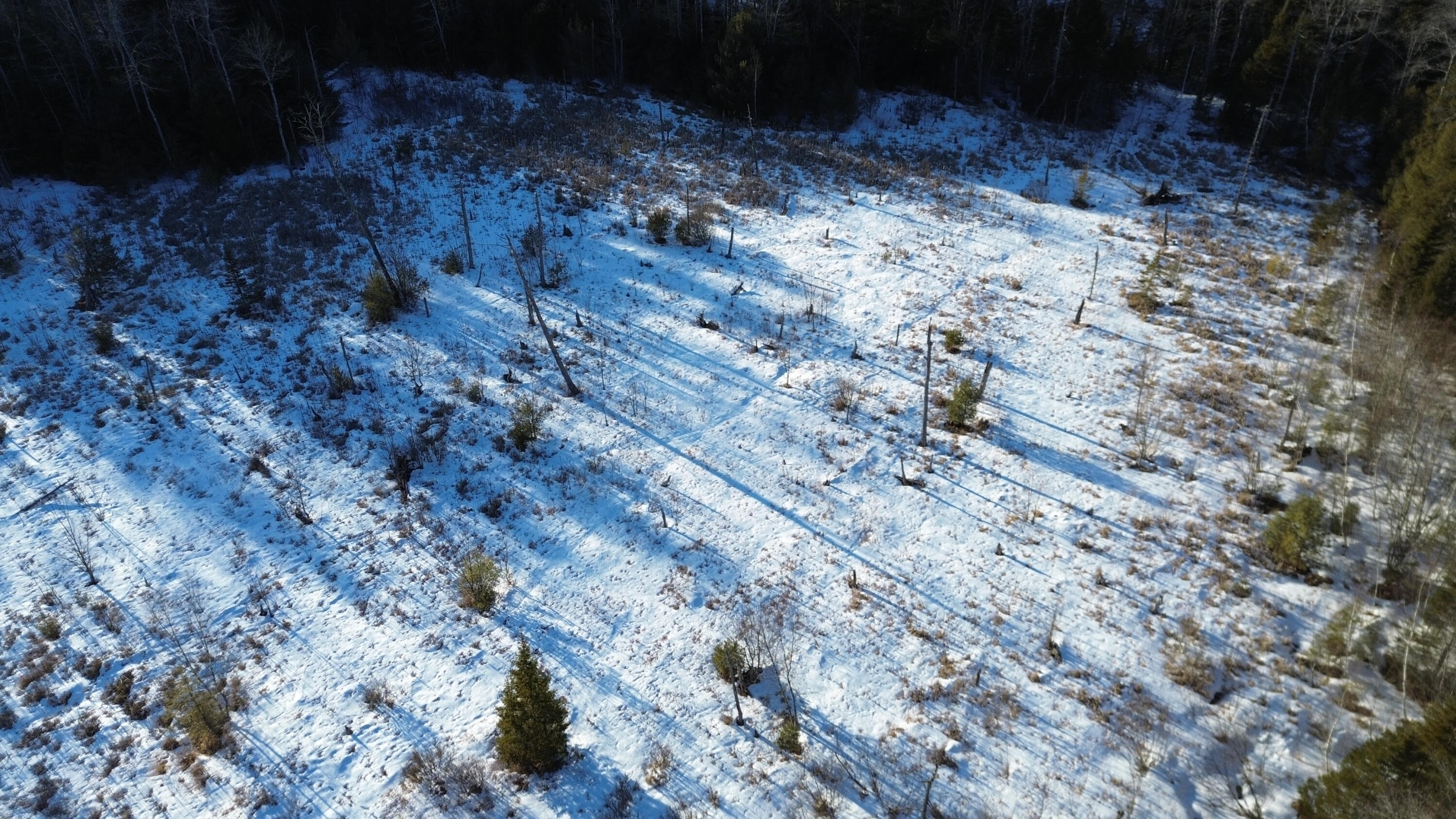 M7L22 Nelson Ridge Road N, Washington, ME, 04574