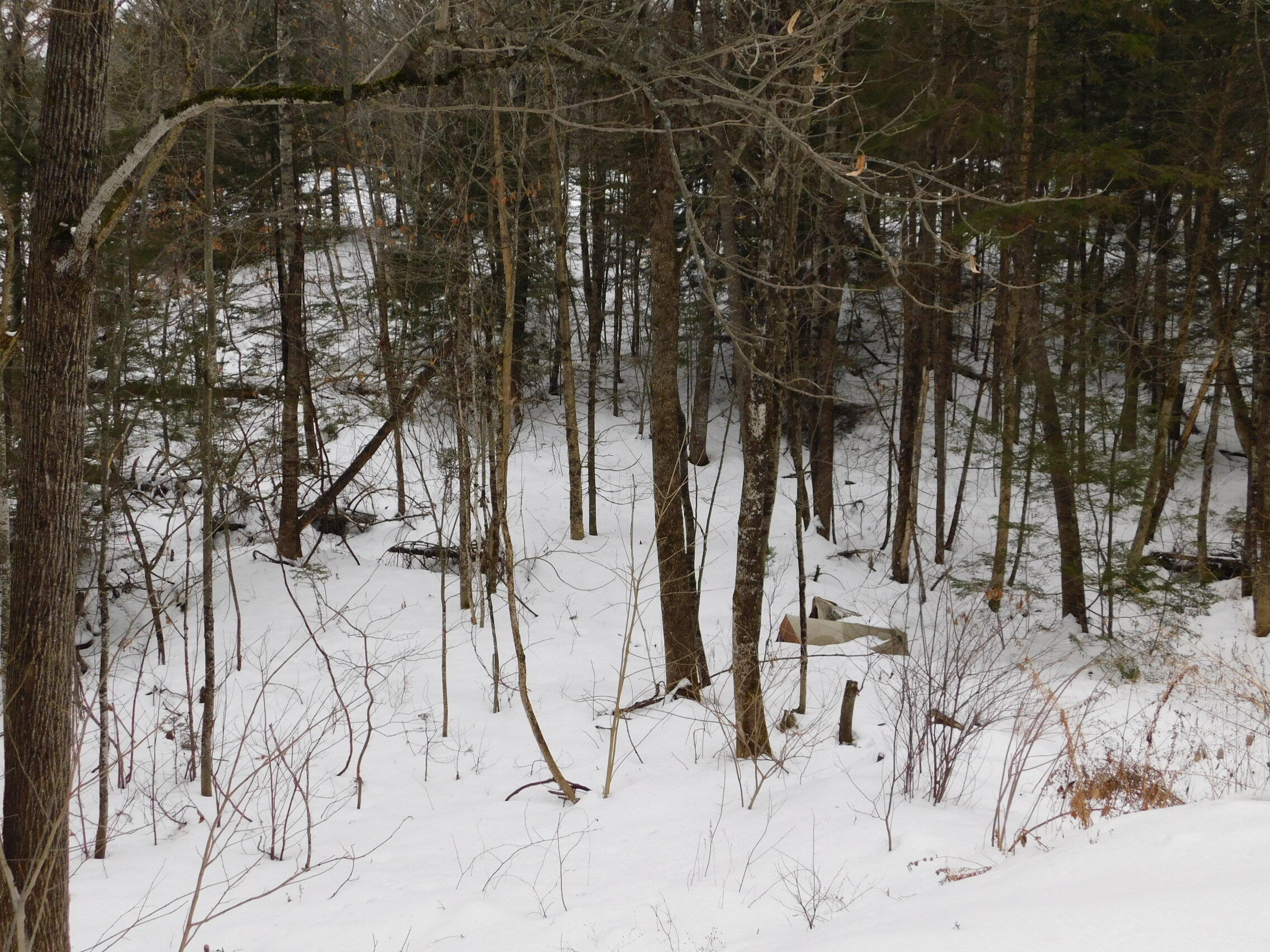 1648 New Sharon Road, Starks, ME, 04911