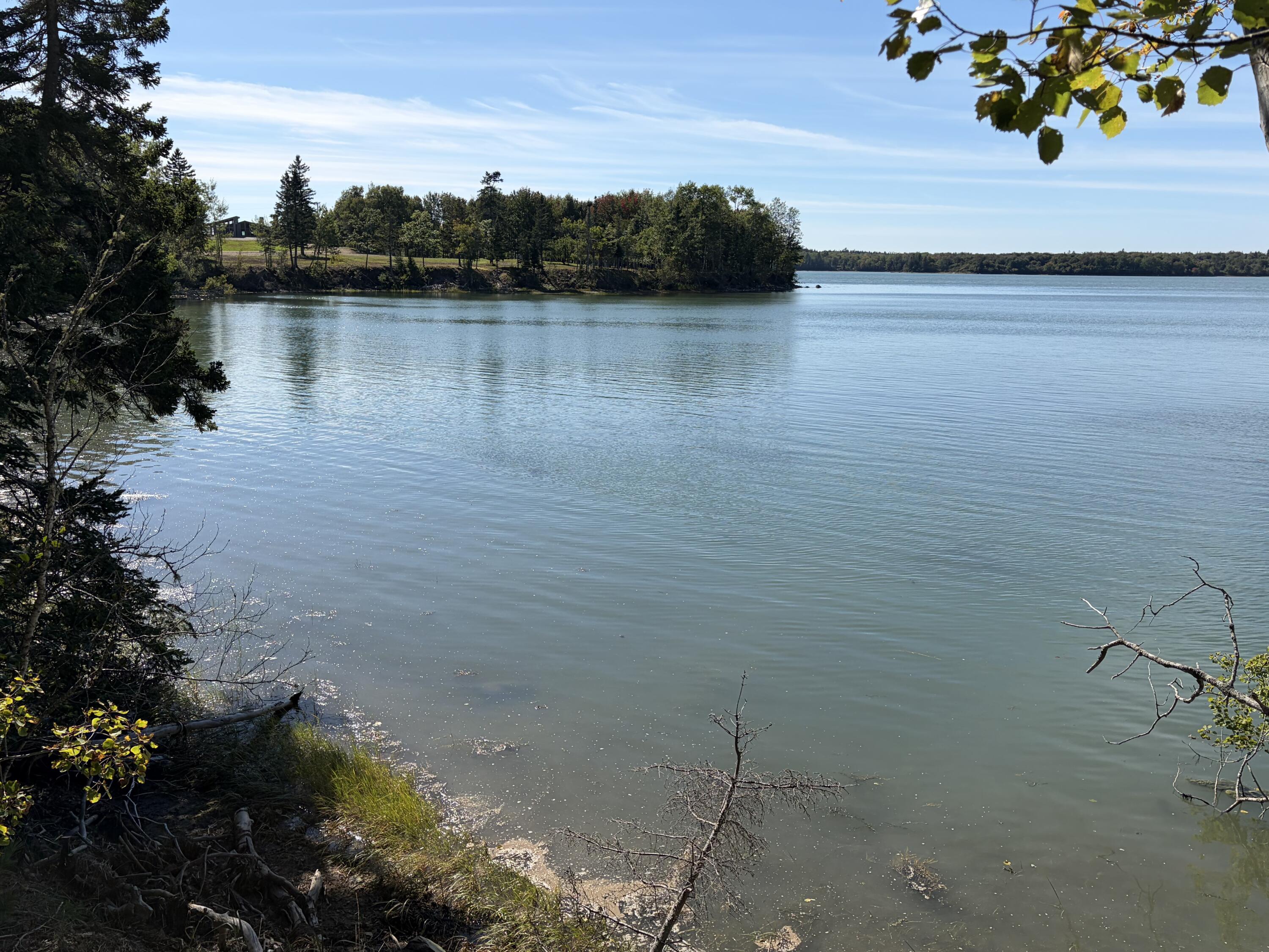 Photo of Lot #5 Timber Cove Lane Harrington ME 04643
