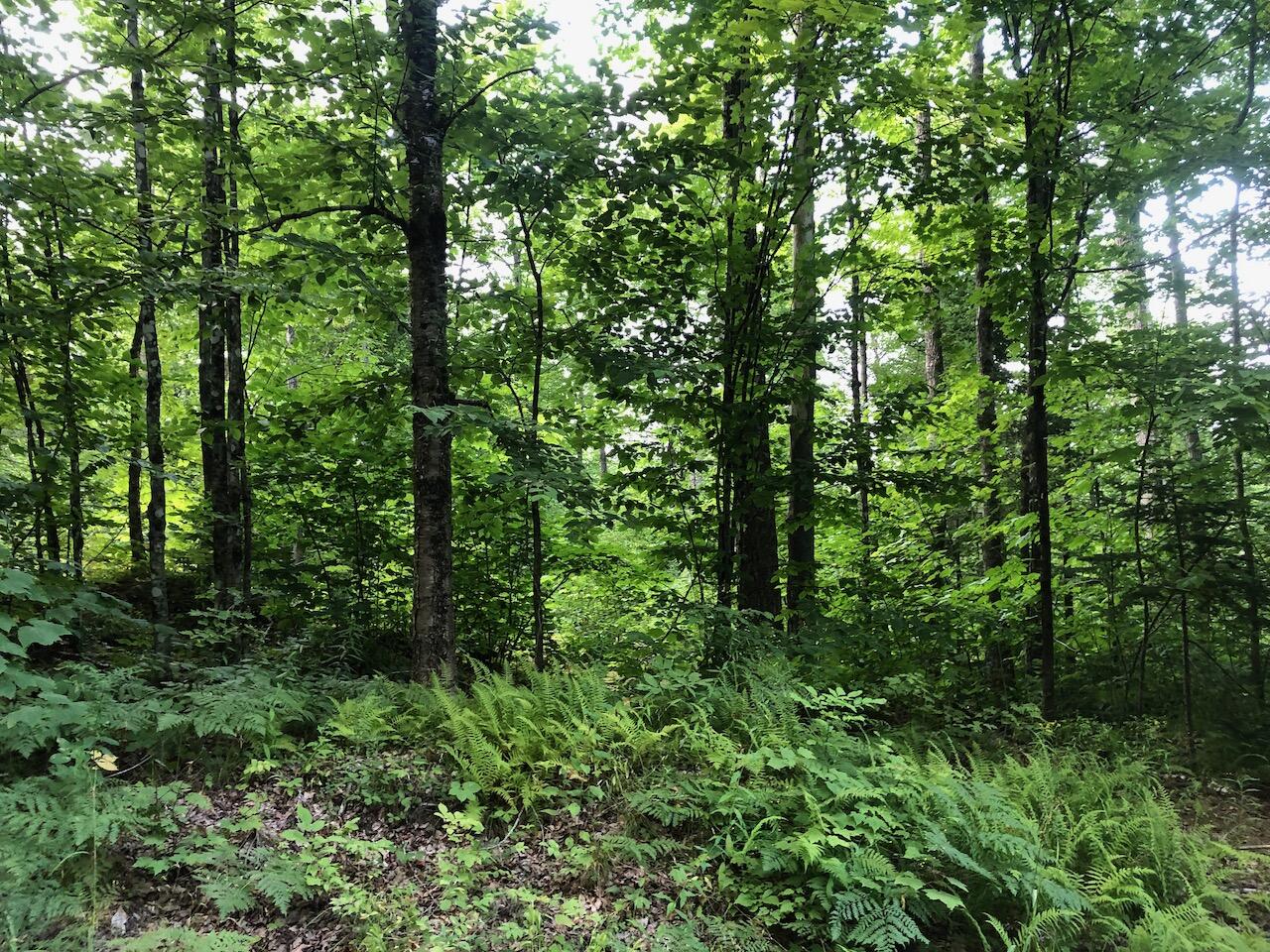 06 Swett Brook Lane, Weld, ME, 04285