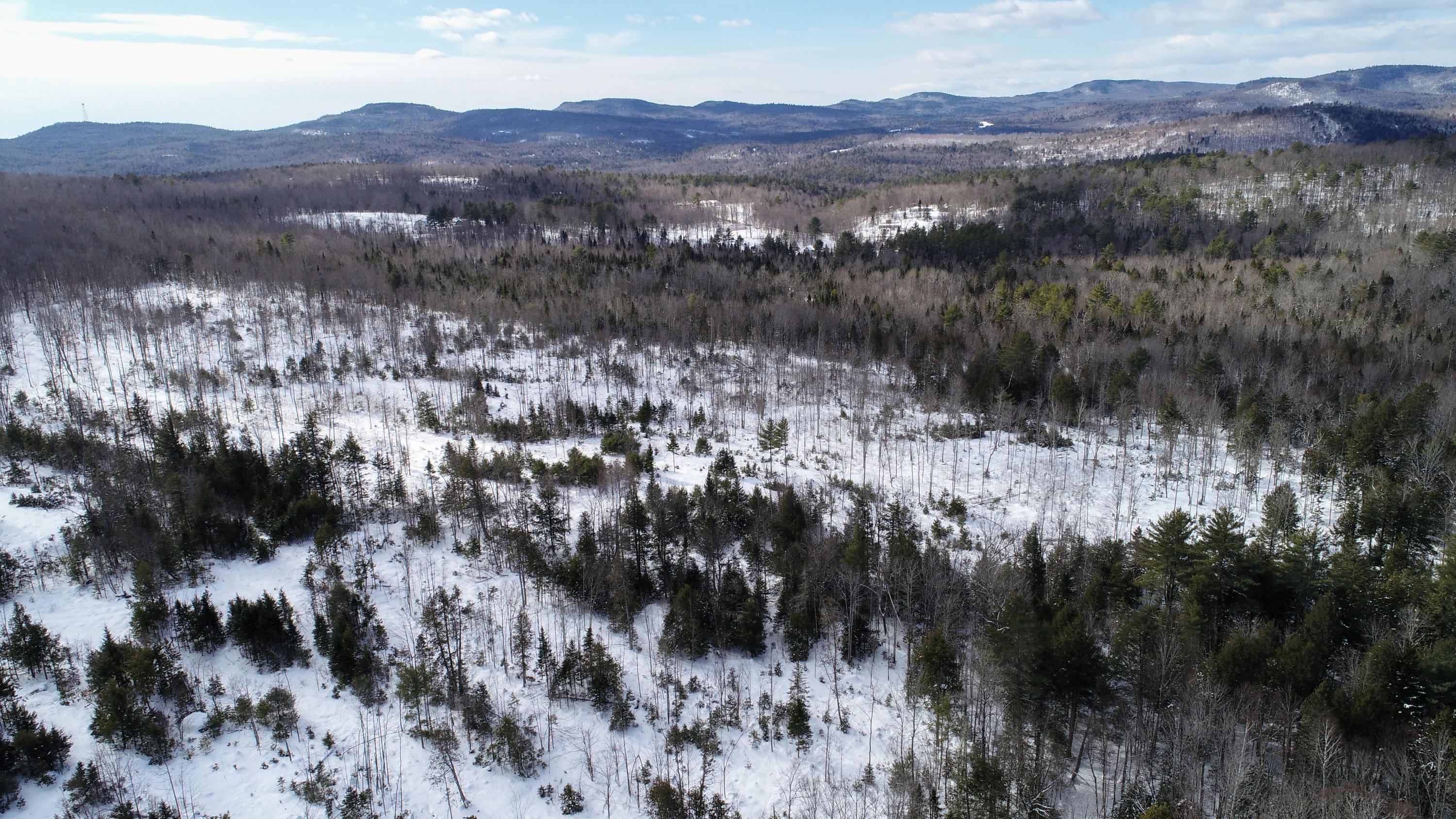 Tbd Black Brook Road, Woodstock, ME, 04219