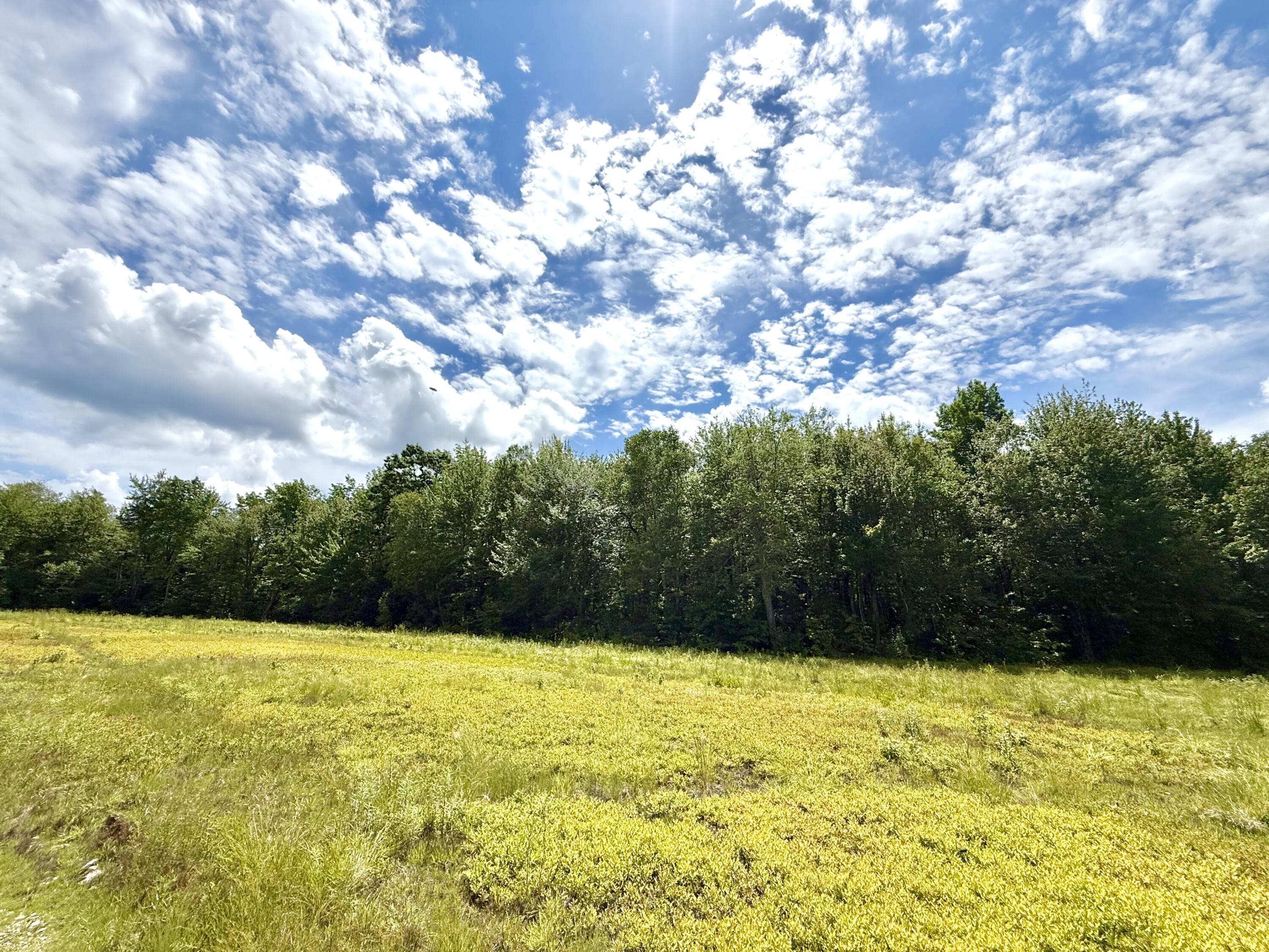 MAP13LOT9 Martins Ridge Road, Franklin, ME, 04634