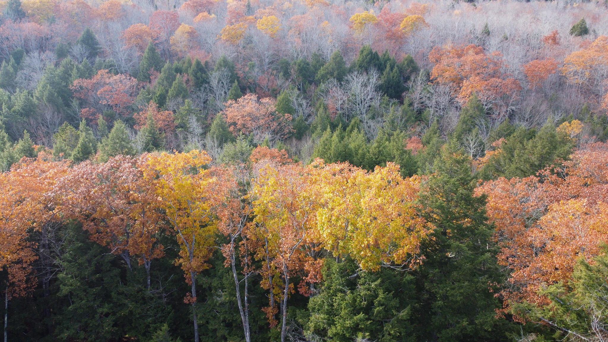 Lot 2 Darci Lane, Montville, ME, 04941