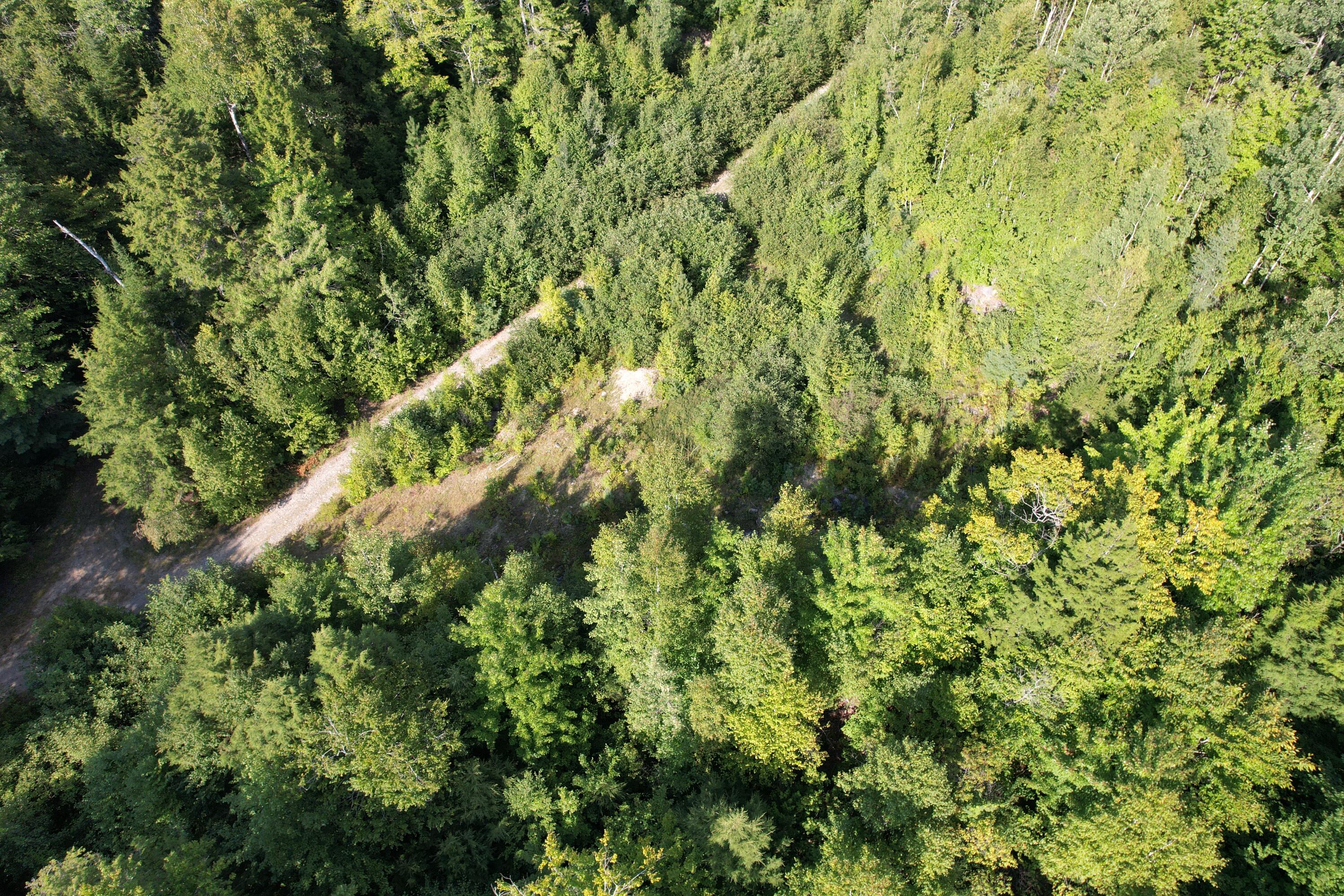 69K Christmas Cove Road, Crawford, ME, 04694