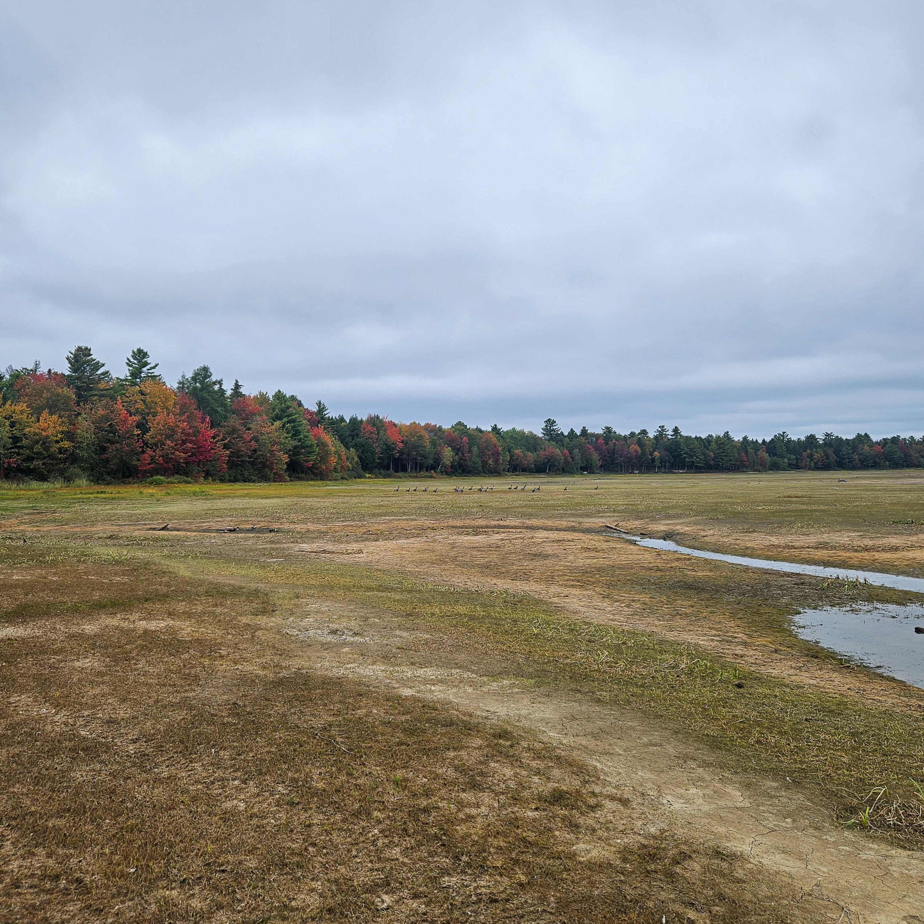 206 Morrison Farm Road, Mariaville, ME, 04605