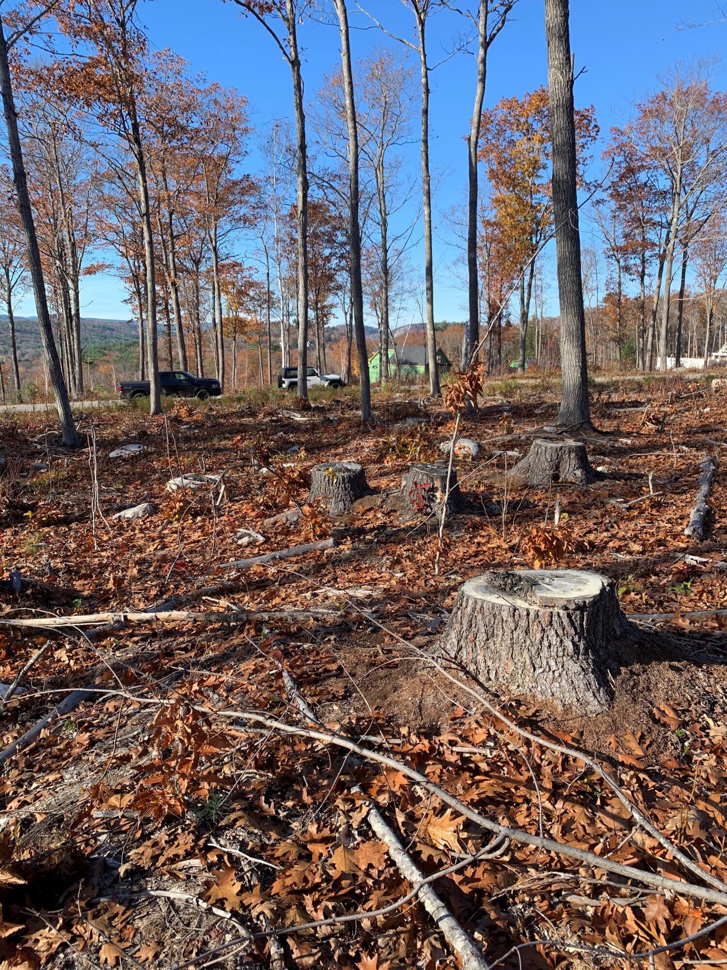 Lot 17 Birch Circle, Harrison, ME, 04040