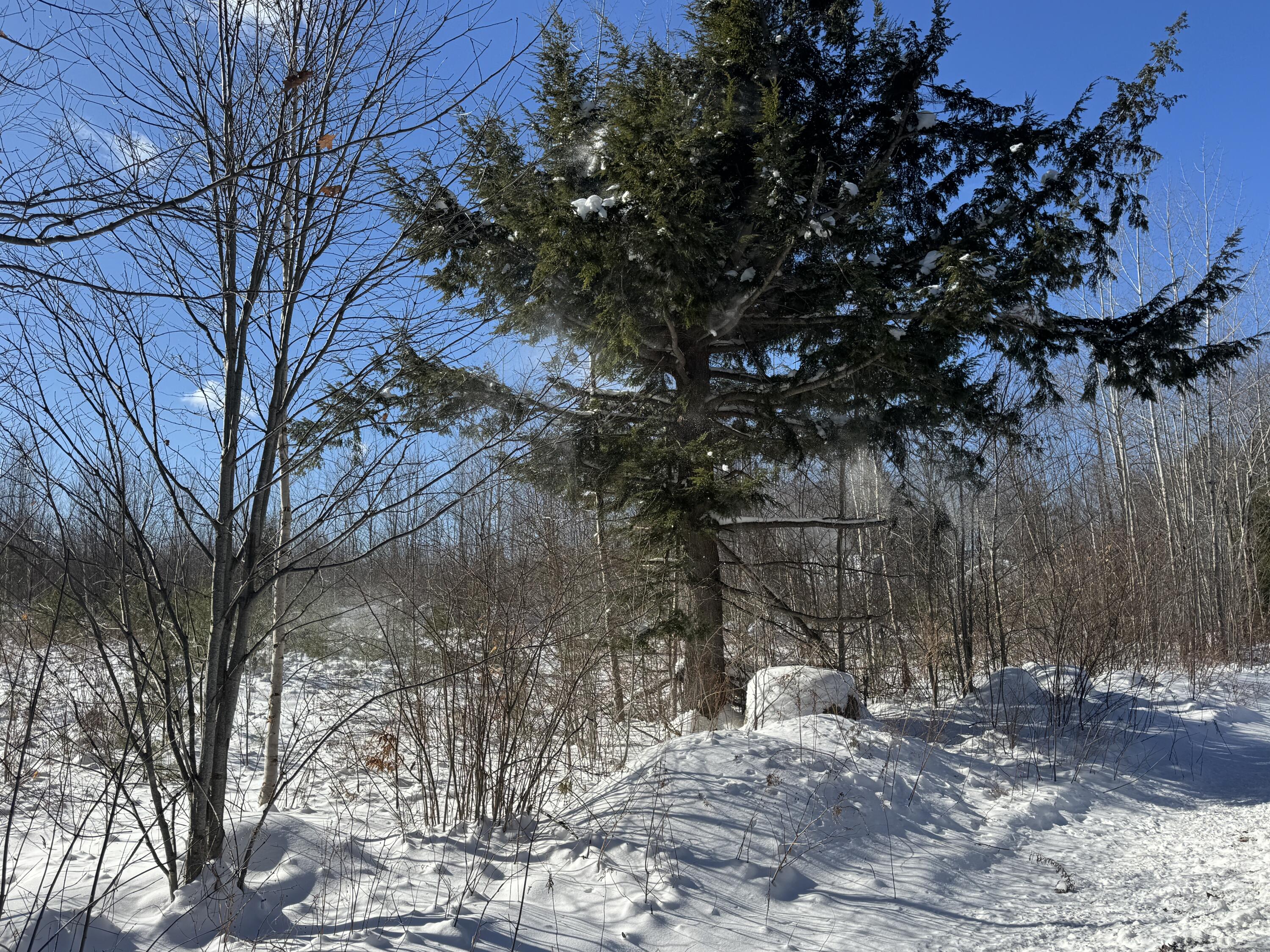 Lot 29-3 Seaward Mills Road, Vassalboro, ME, 04989
