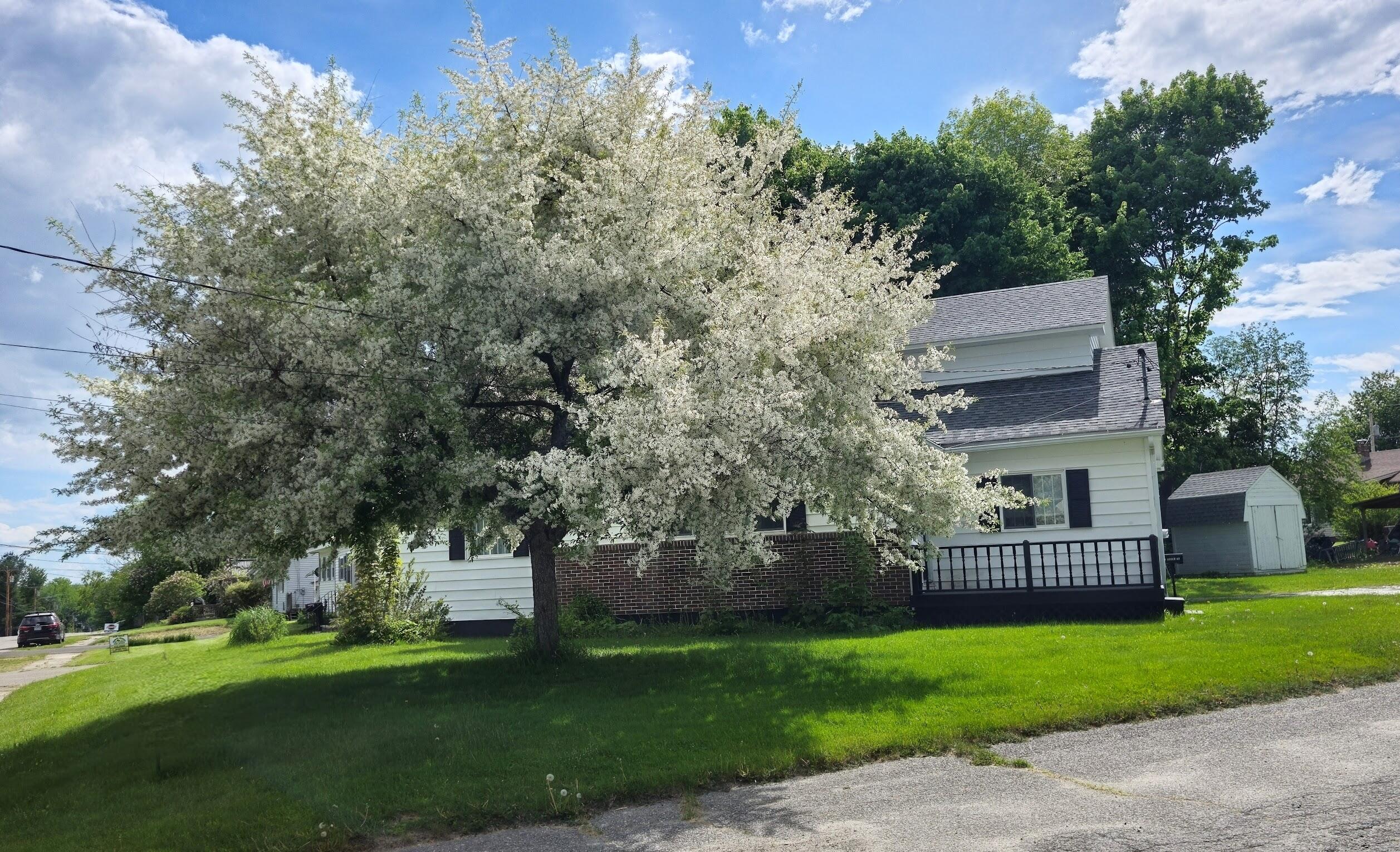 Photo of 50 Beech Street East Millinocket ME 04430