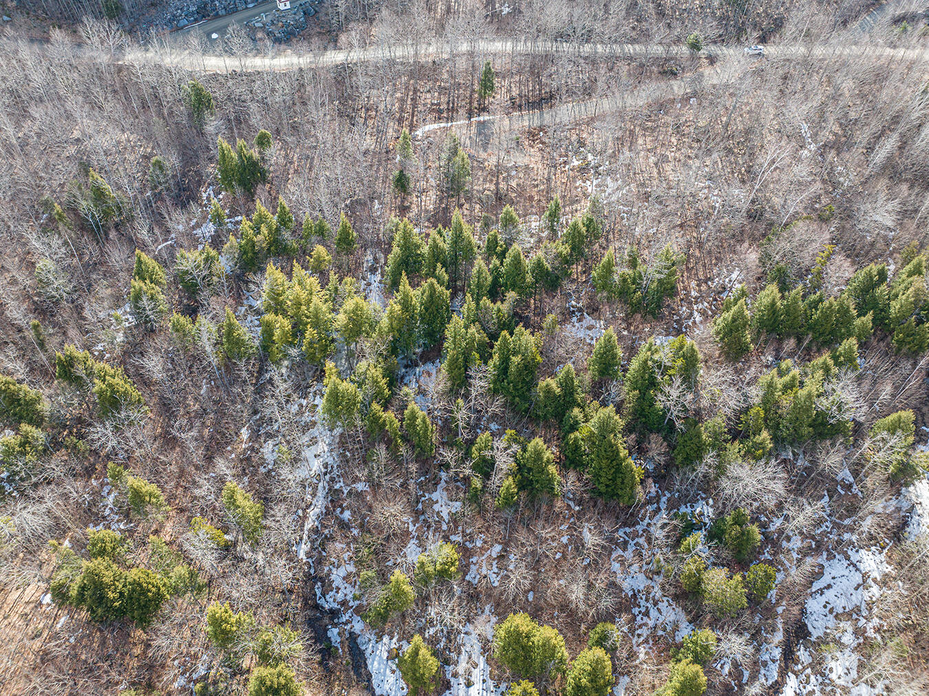 Lot 2-1 Lower Vose Road, Kingfield, ME, 04947