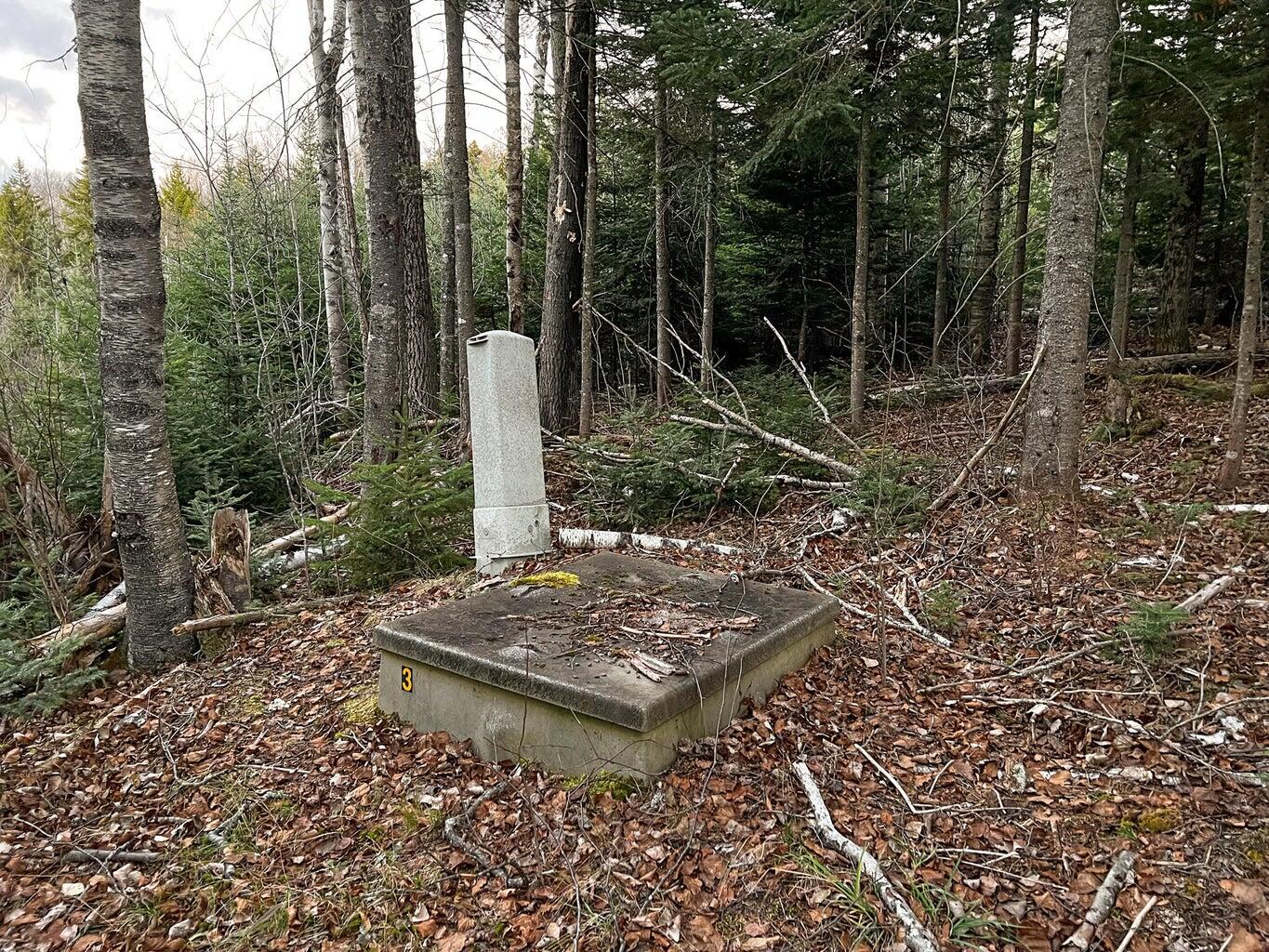 Lot 16 Mill Brook Road, Sandy River Plt, ME, 04970