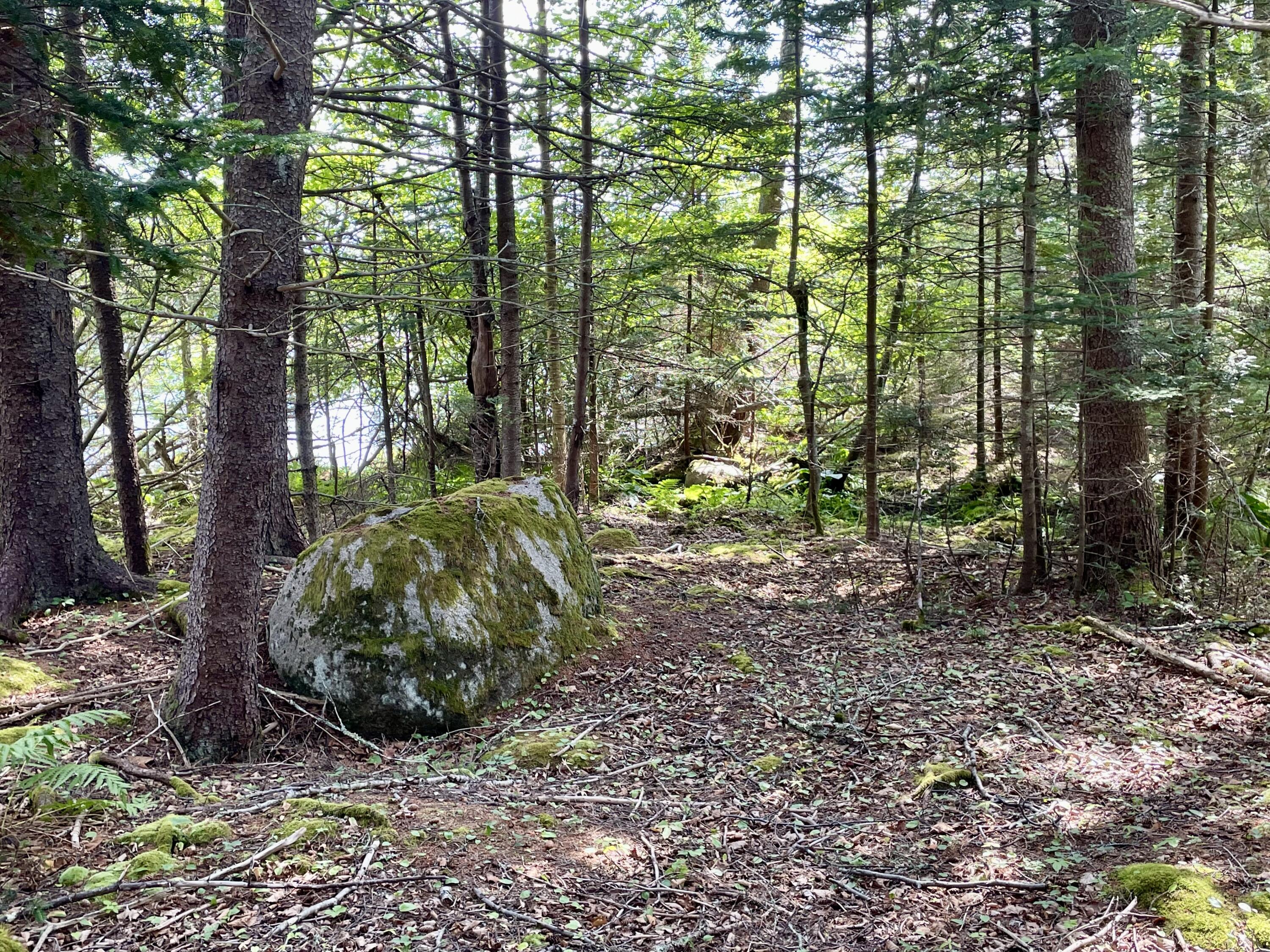 0A Old Harbor Road, Vinalhaven, ME, 04863