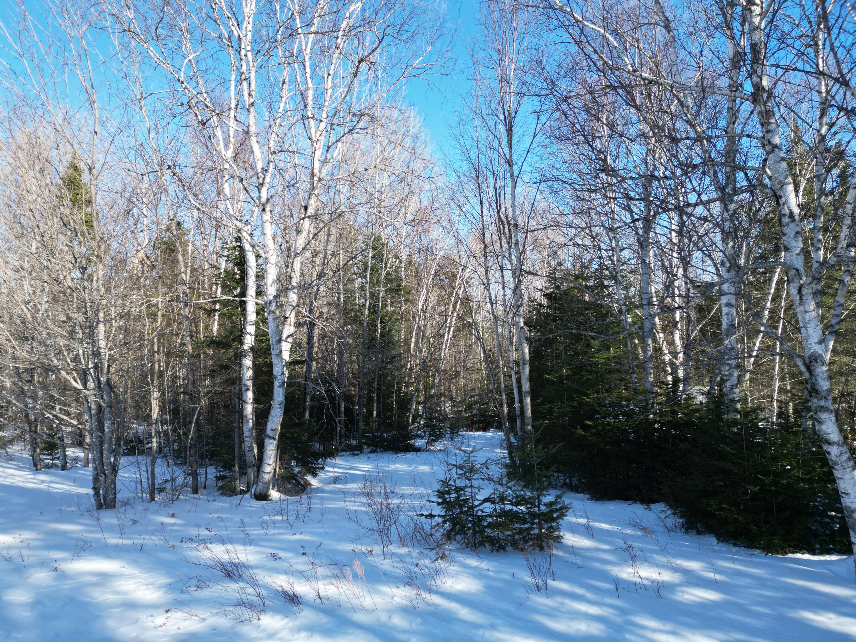 919 Shin Pond Road, Mount Chase, ME, 04765