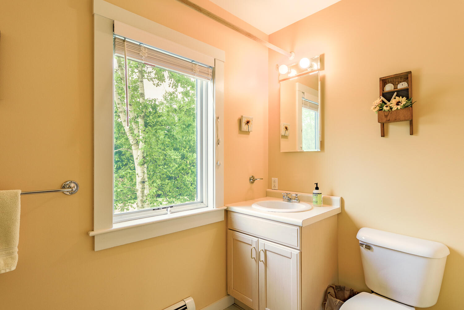 20B Springbrook Drive, #TH-6, Belfast, ME 04915 20B Springbrook Drive 09-(ZF-1996-83945-