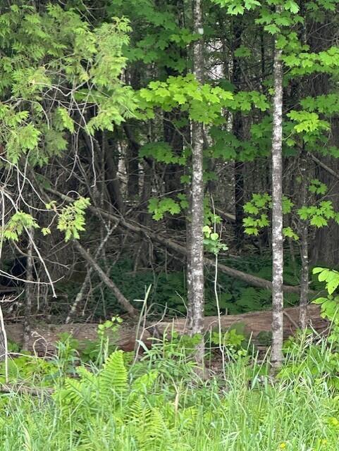 3-3-A Avenue Road, Corinth, ME, 04427