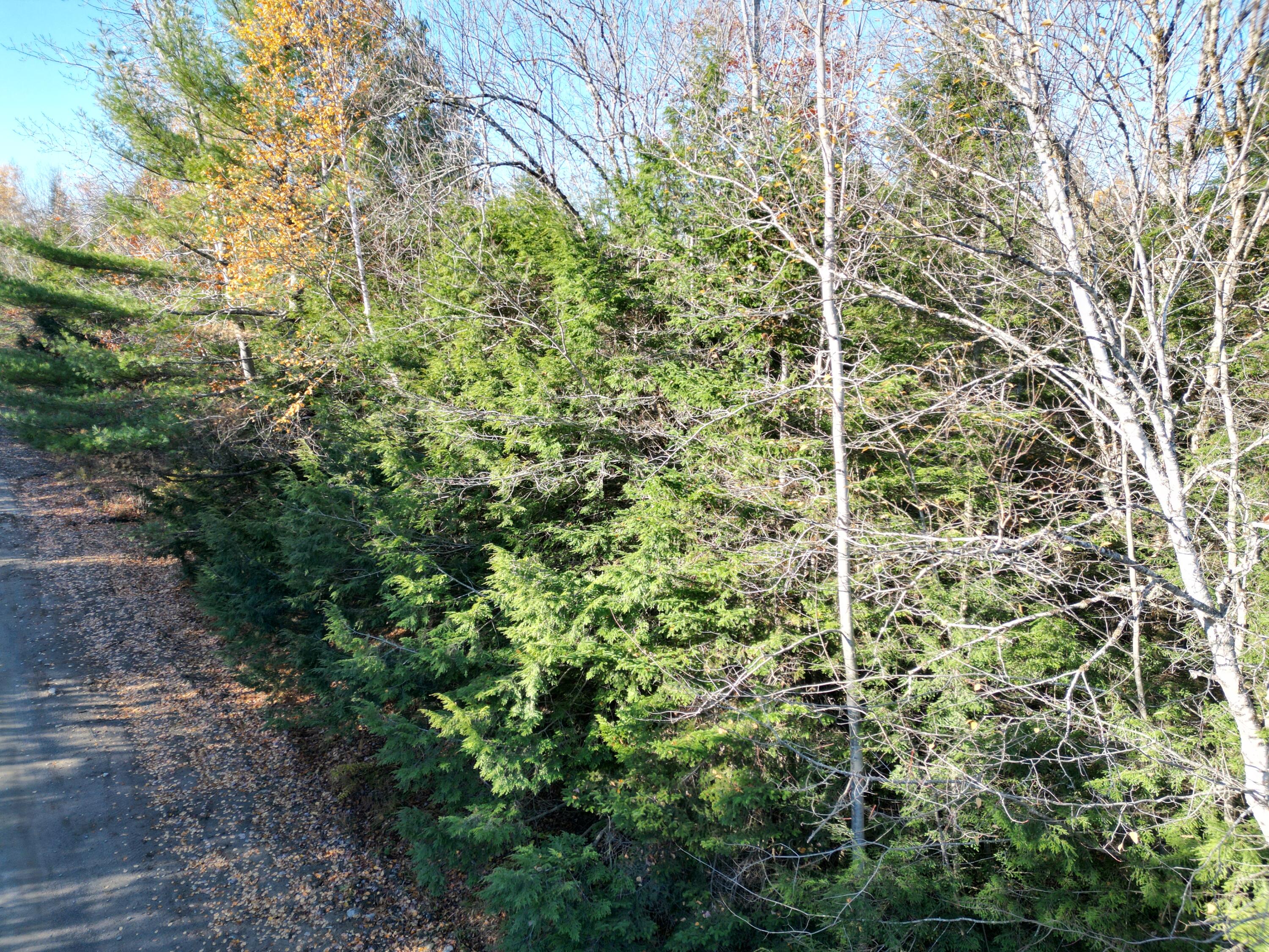Lot 18-1 Mattamiscontis Road, Howland, ME, 04448