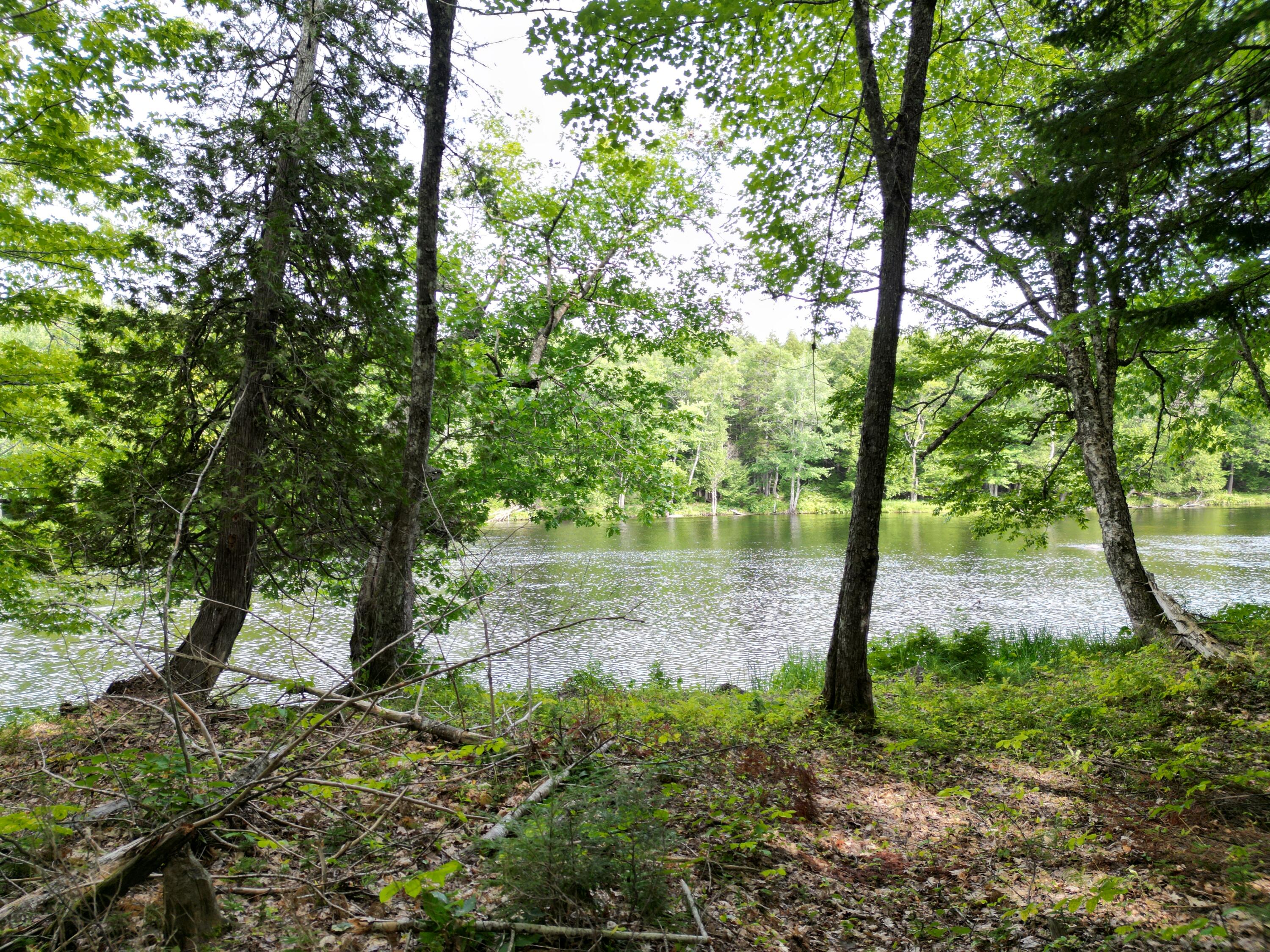 Photo of Lot 3 Off Mattamiscontis Road Howland ME 04448