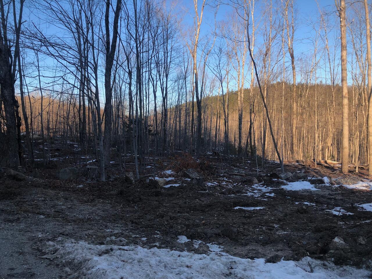 L25 Canton Mountain Road, Jay, ME 04239 IMG_7998