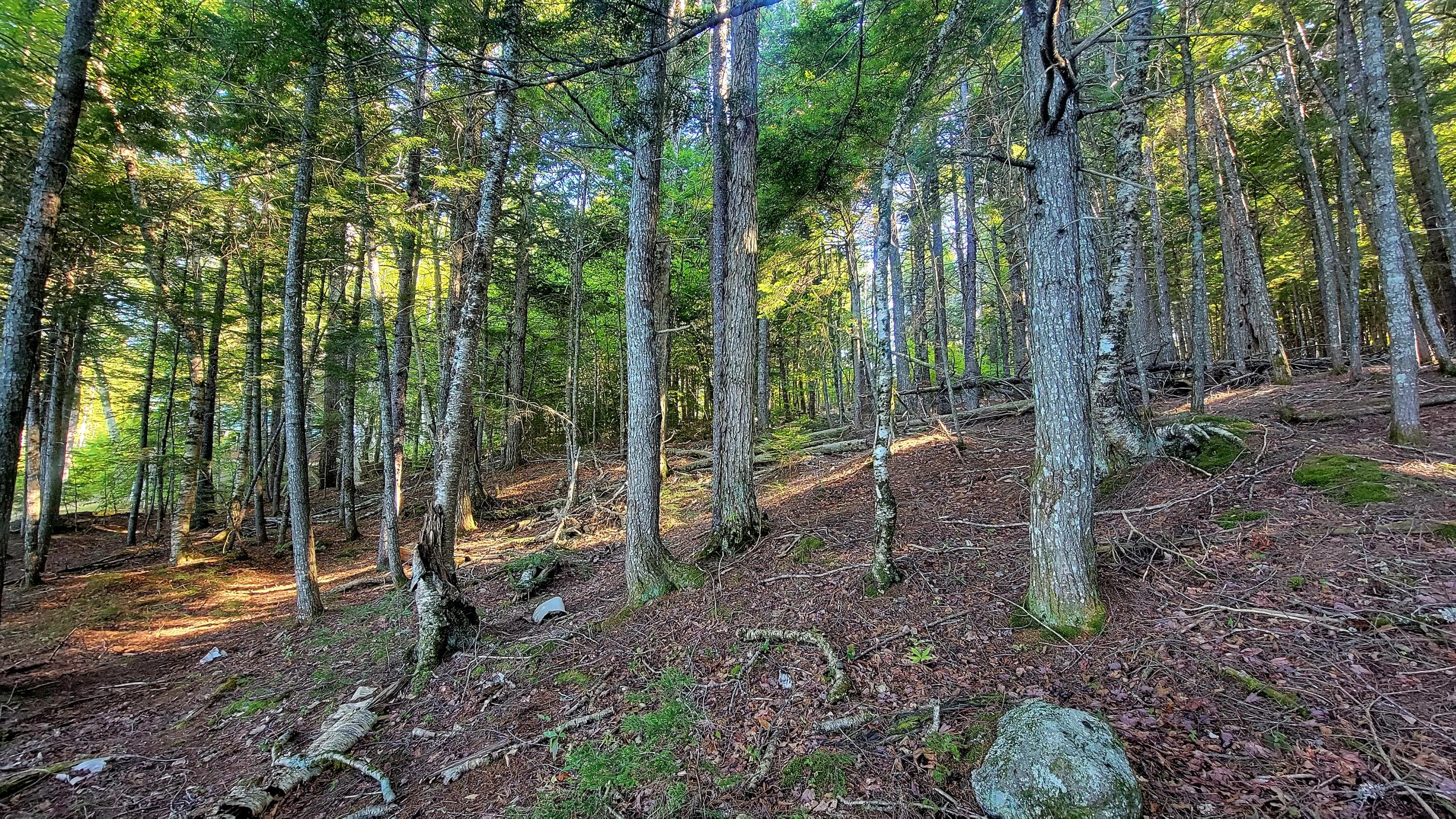 T1R8 WELS Millinocket Lake, Millinocket, ME, 04462