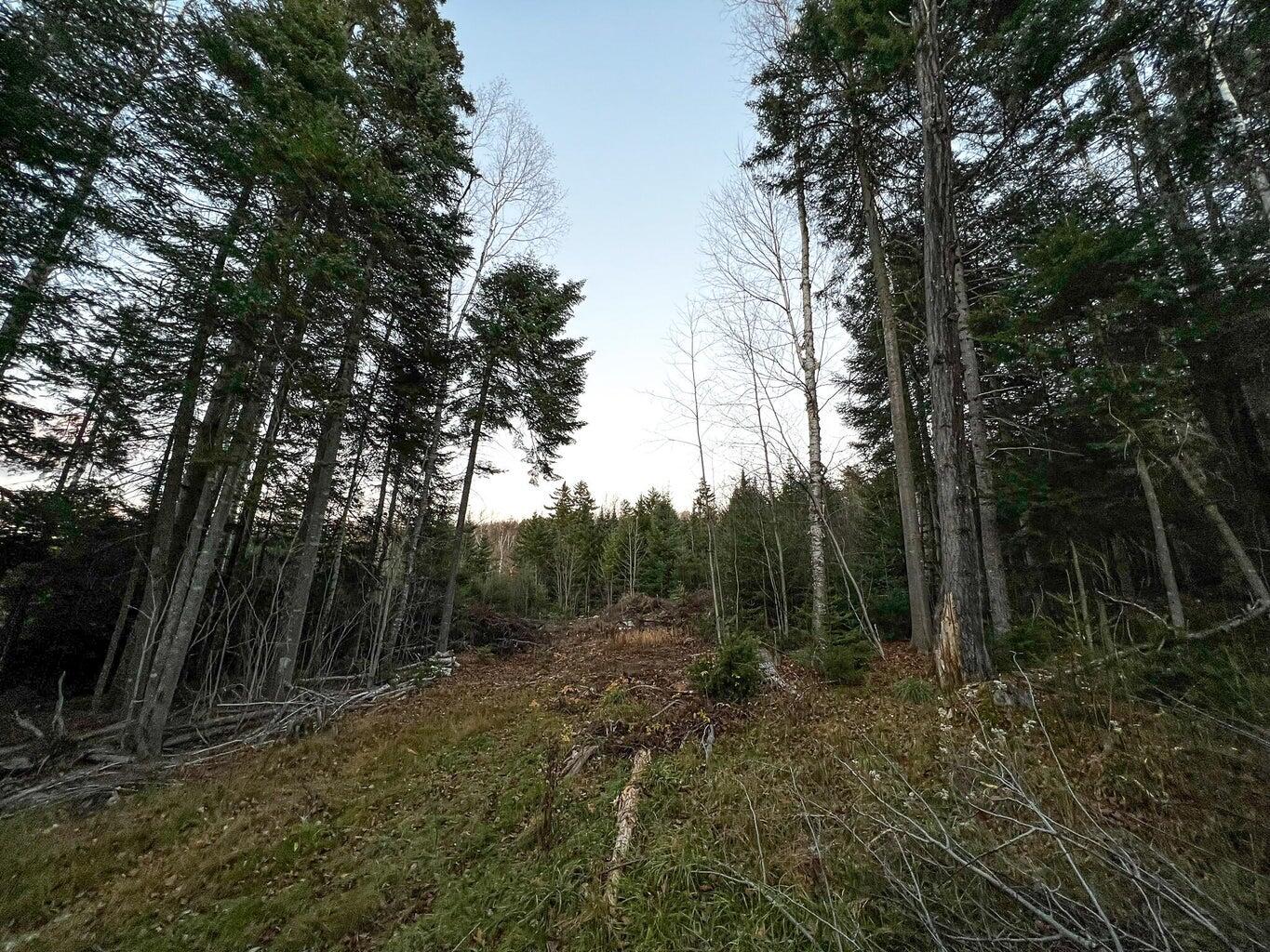 Lot 16 Mill Brook Road, Sandy River Plt, ME, 04970