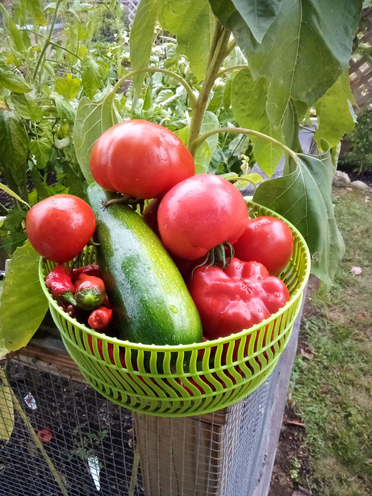 28 Coggeshall Lane, Wells, ME, 04090