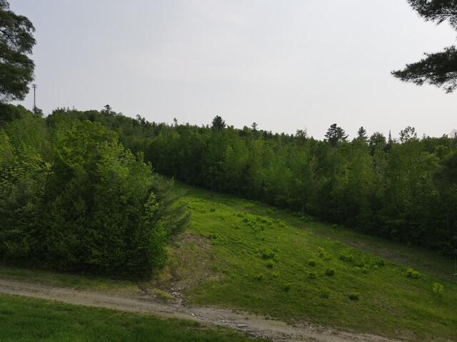 Lot 11 Mt. Jefferson Heights, Lee, ME, 04455