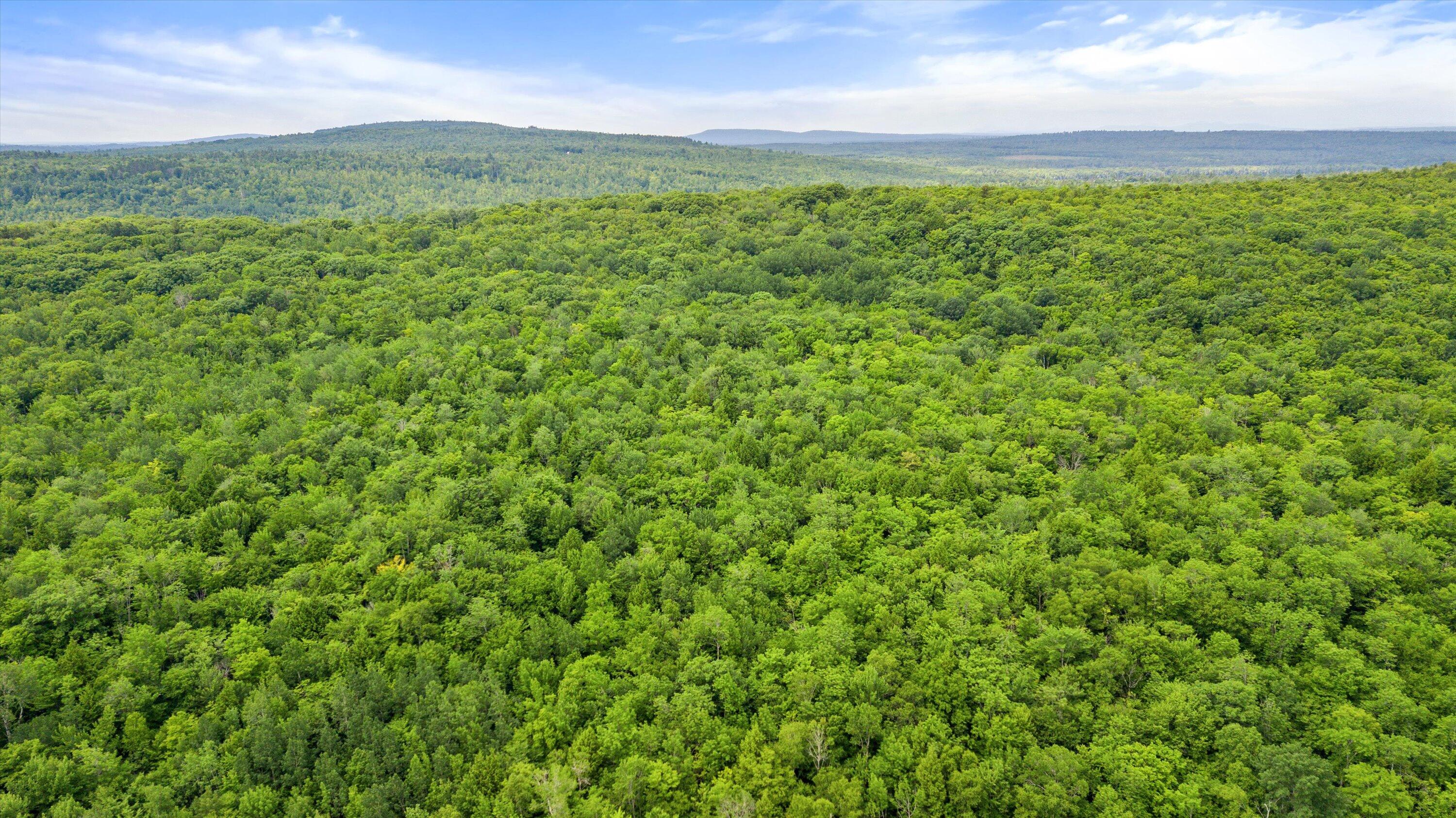 Search Homes for Sale