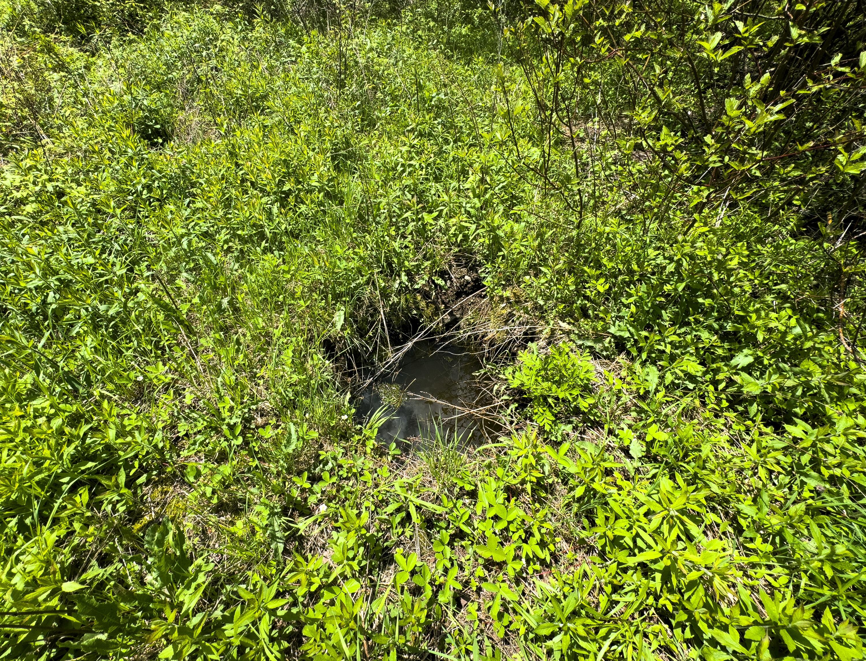 Lot 4 E Ridge Road, Cooper, ME 04657 RIDGE ROAD LOT 4-14