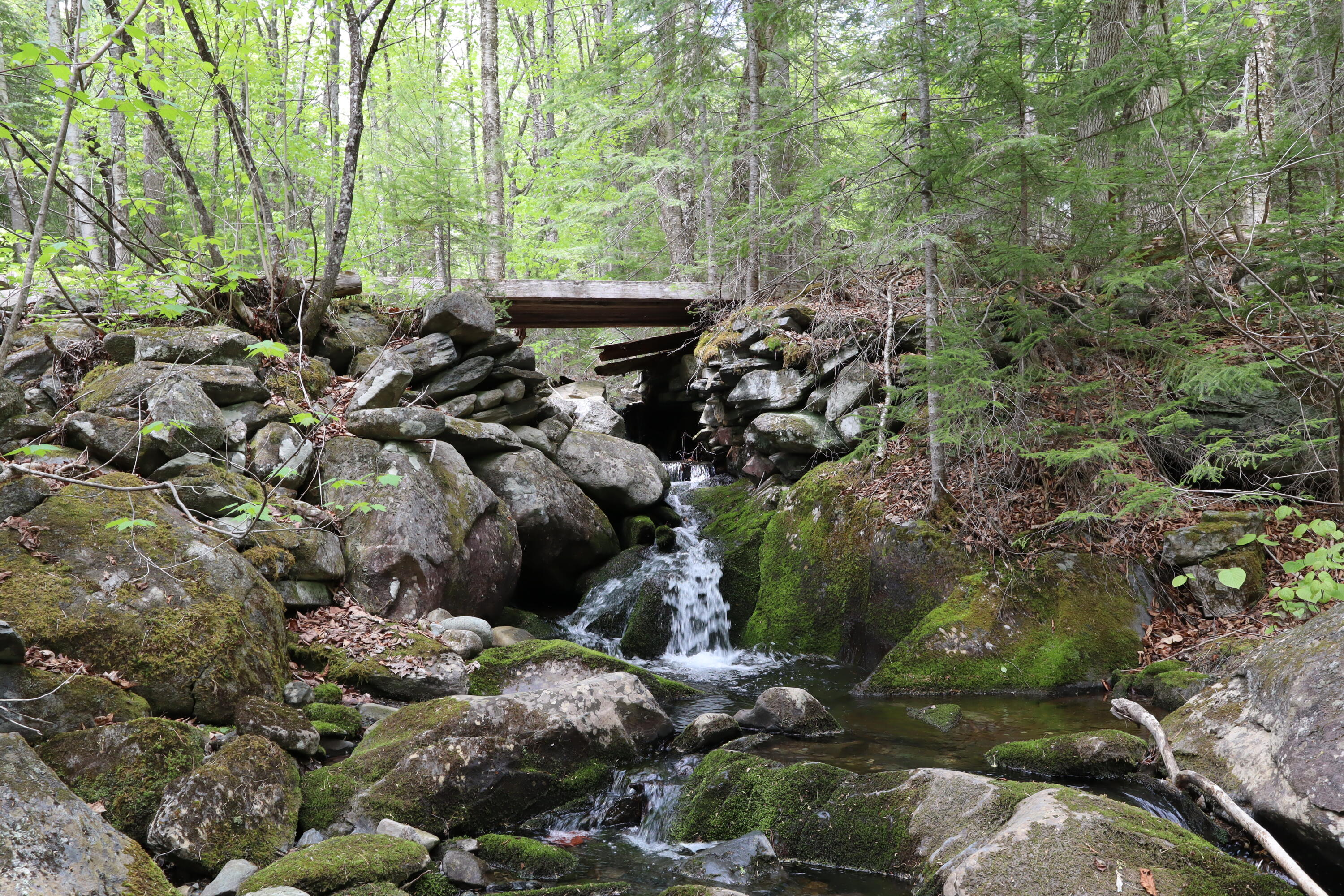 198 Scammon Road, Greenville, ME 04441 IMG_2324