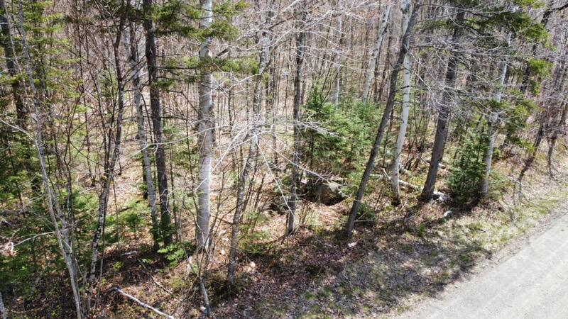 2029 Fox Hollow Road, Carrabassett Valley, ME, 04947